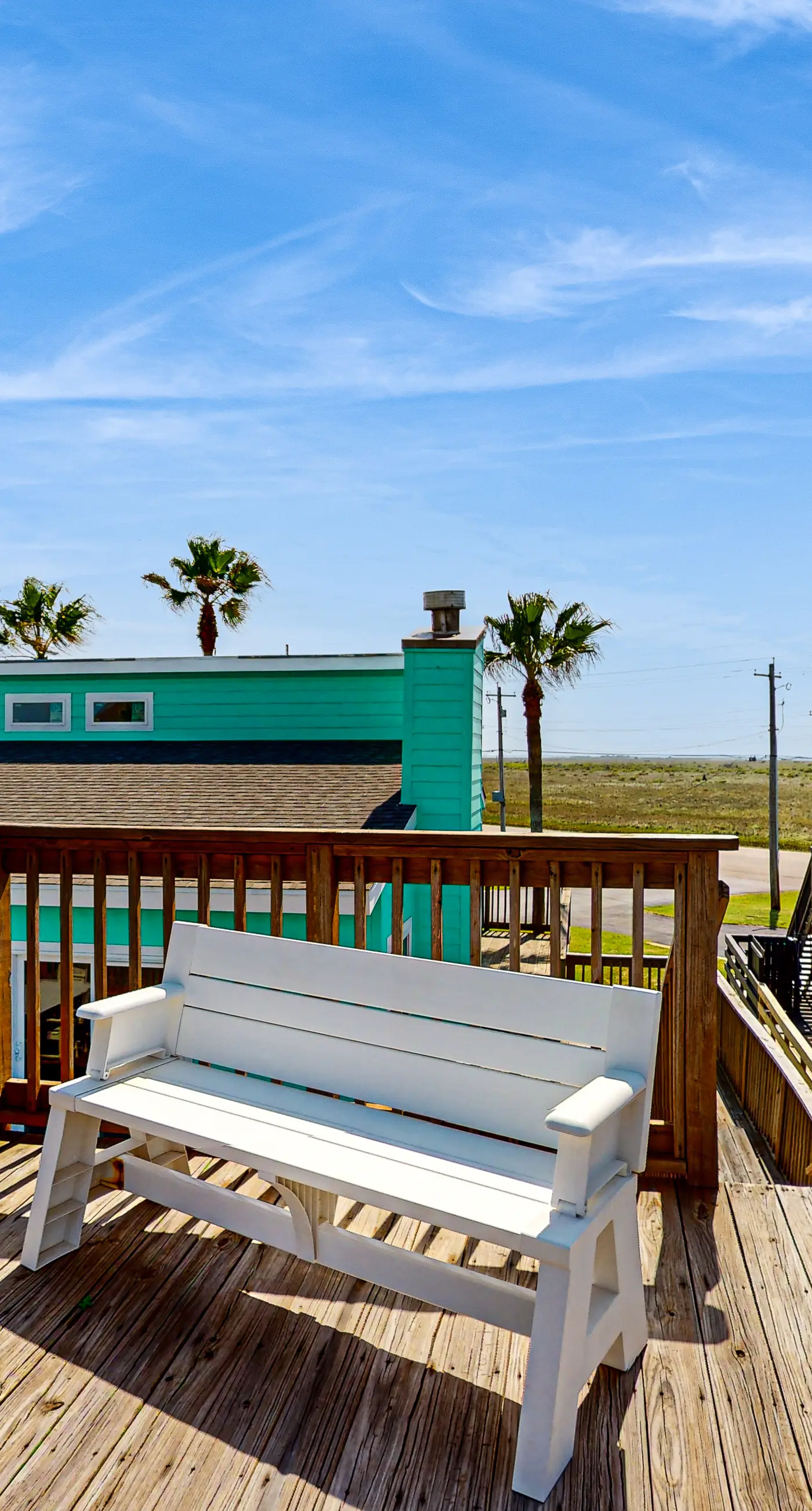 Lost Colony Lost Sea Turtle