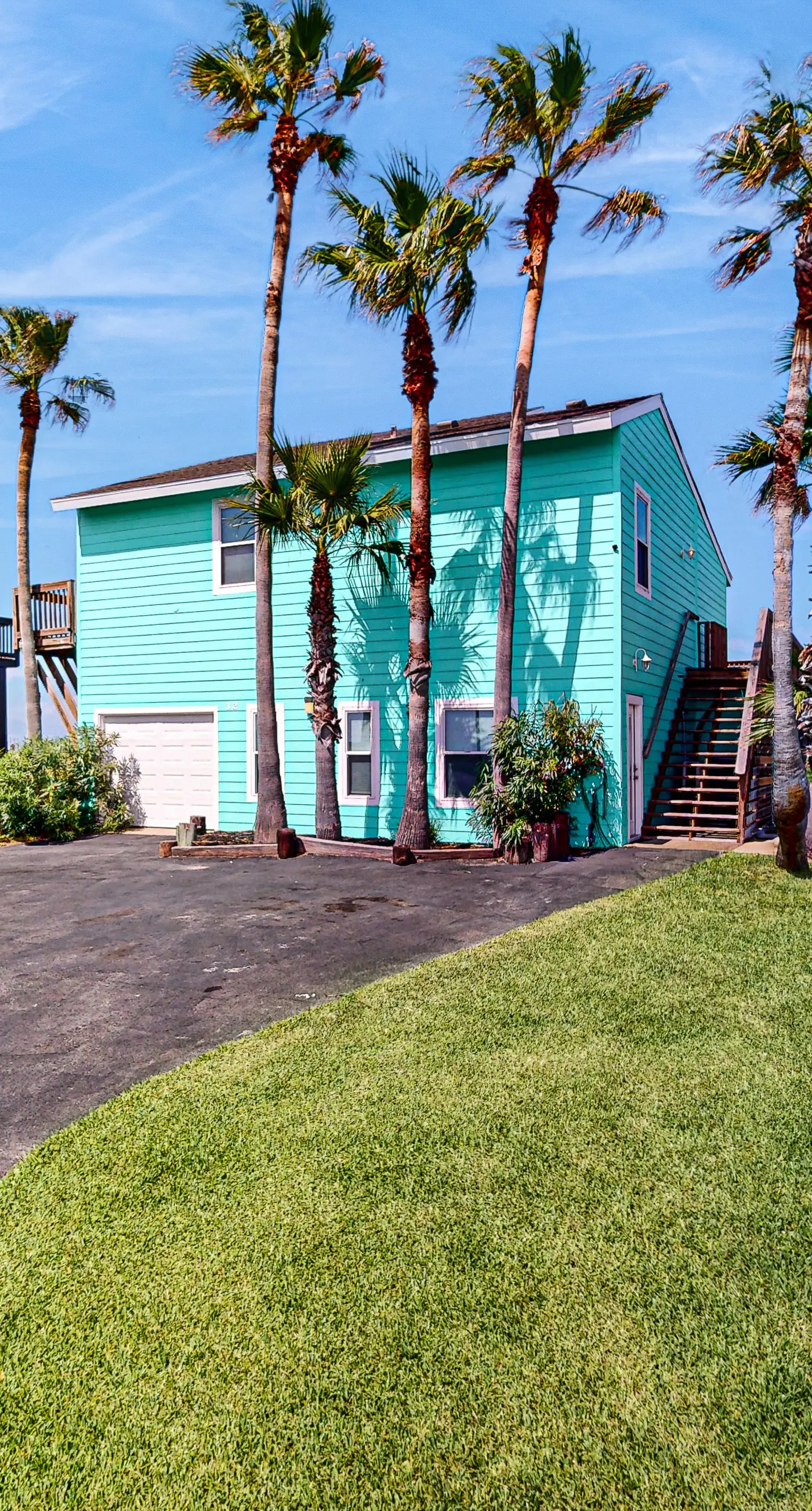 Lost Colony Lost Sea Turtle