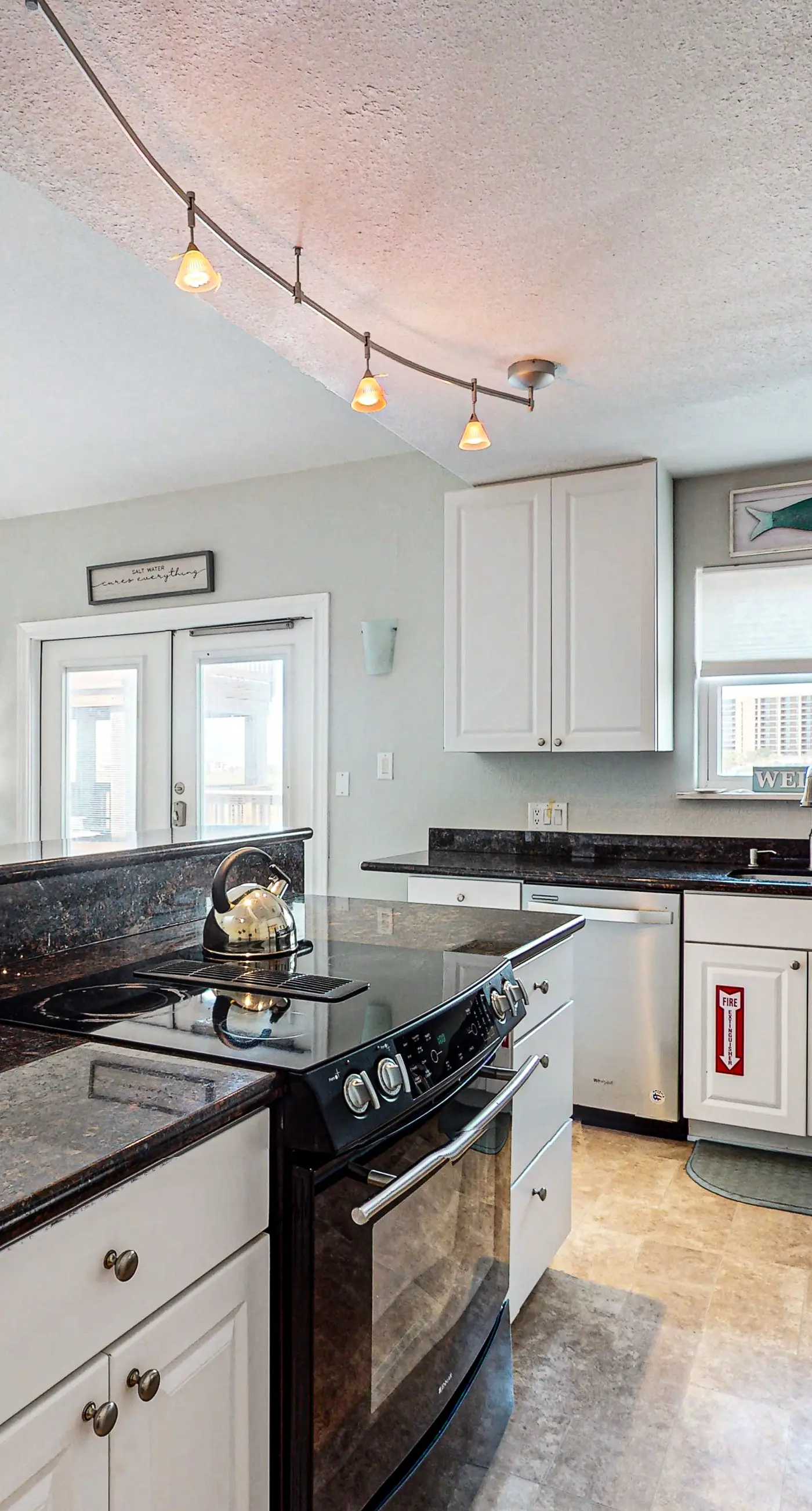 Lost Colony Lost Sea Turtle