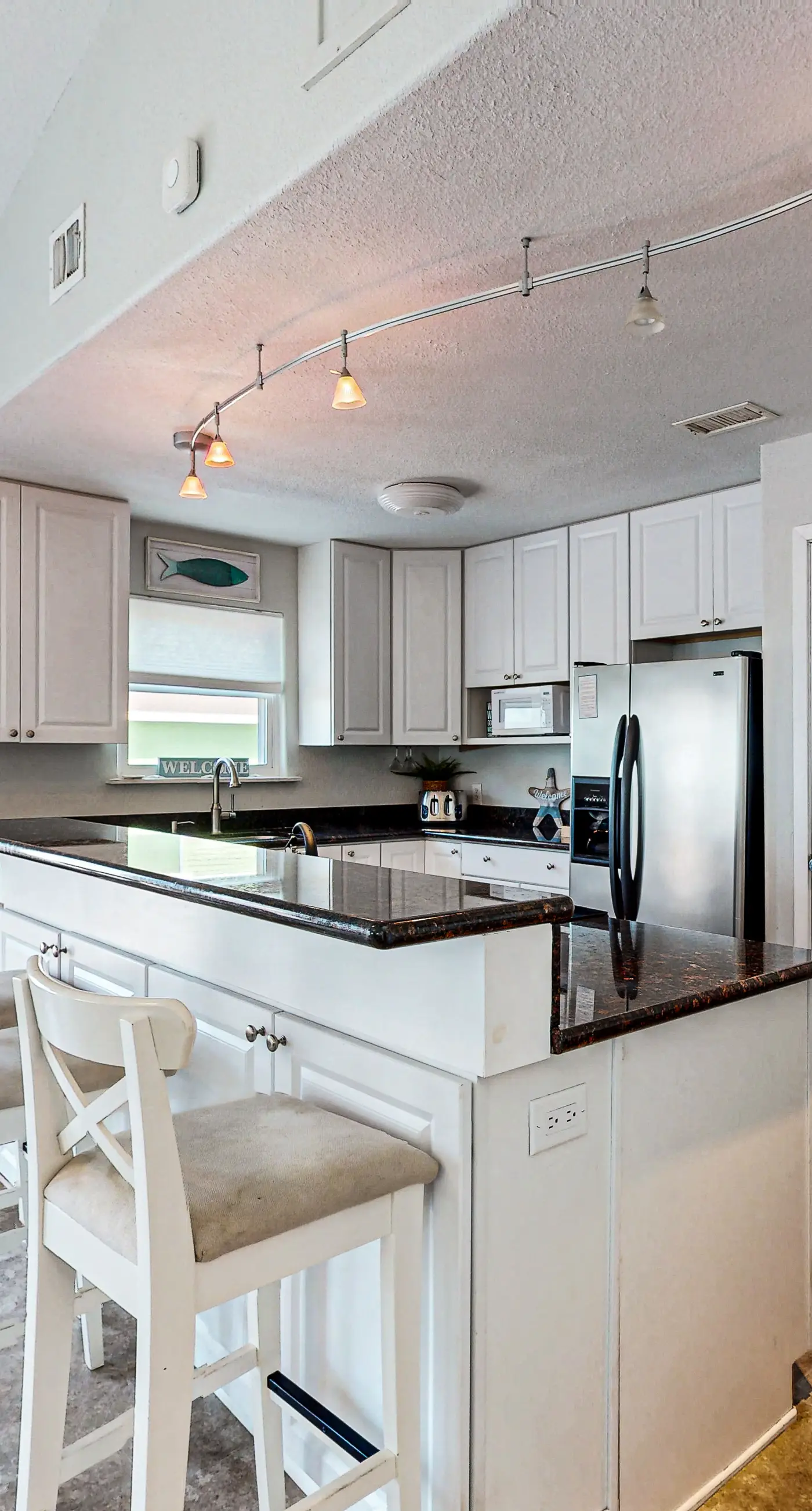 Lost Colony Lost Sea Turtle