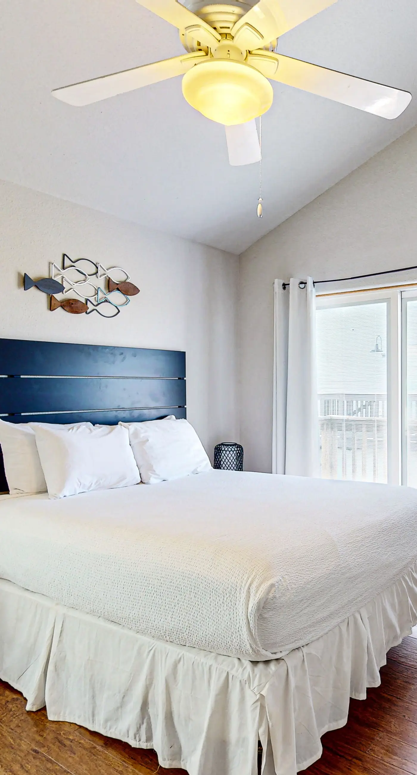 Lost Colony Lost Sea Turtle