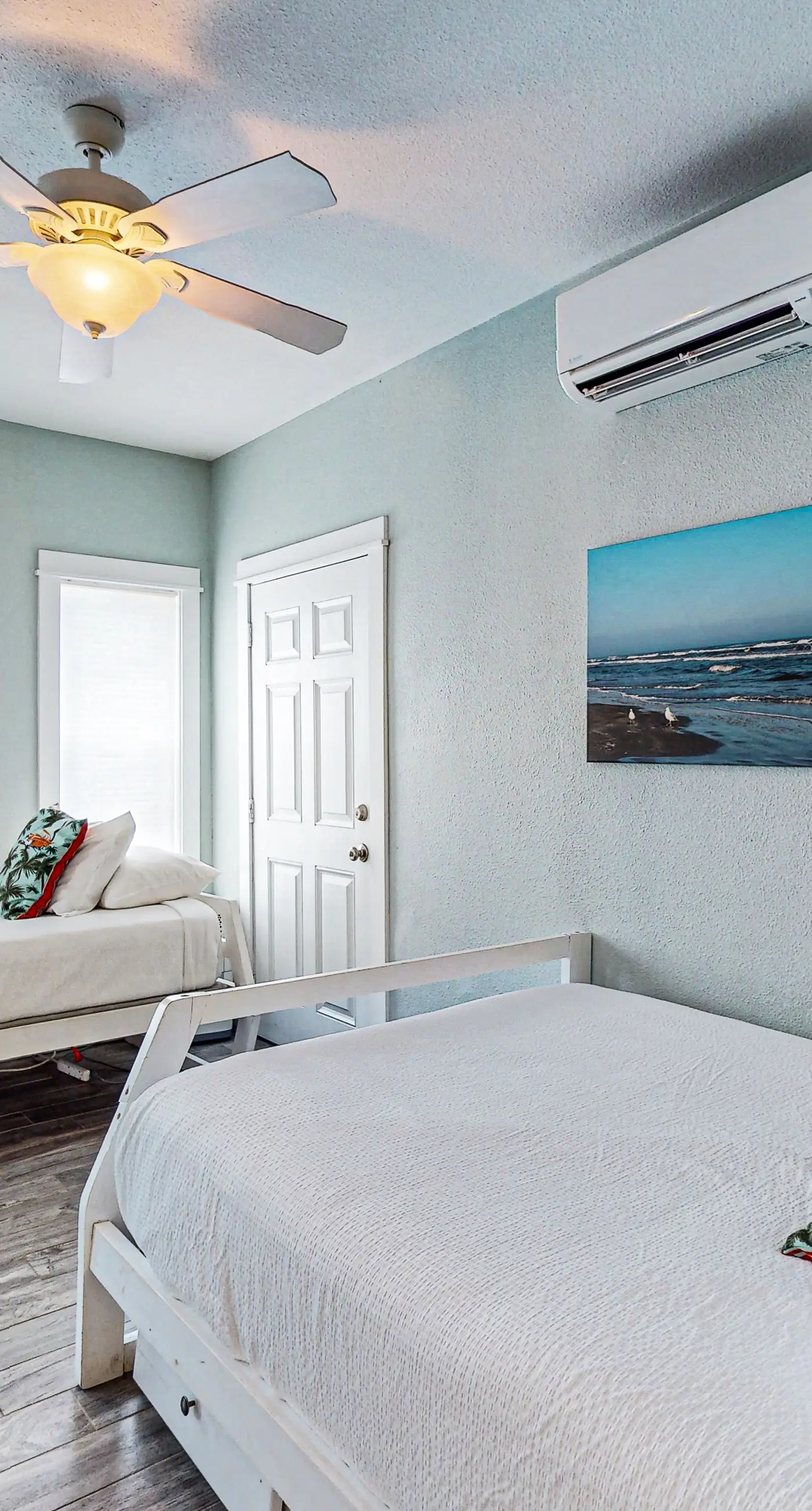 Lost Colony Lost Sea Turtle