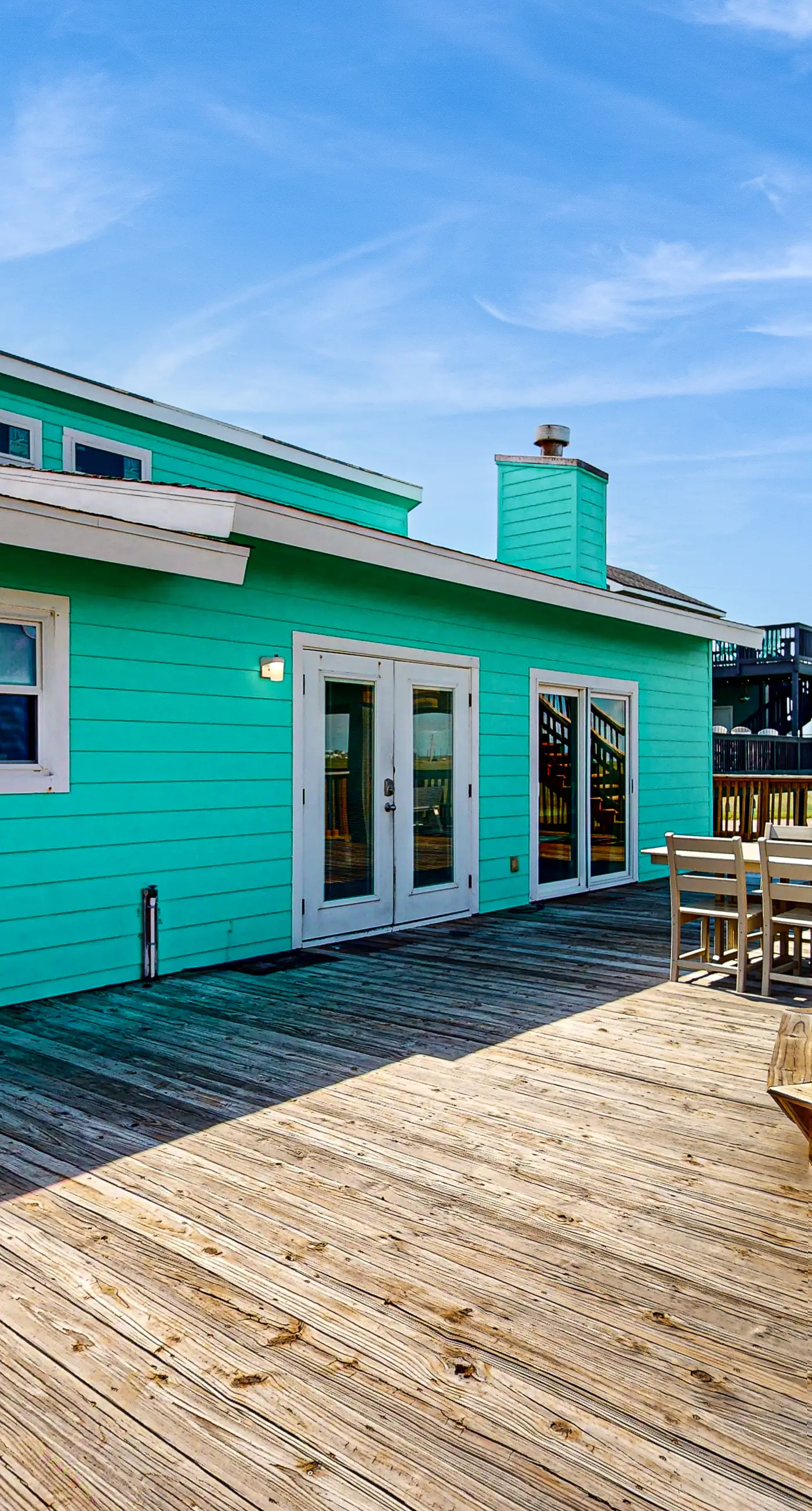 Lost Colony Lost Sea Turtle