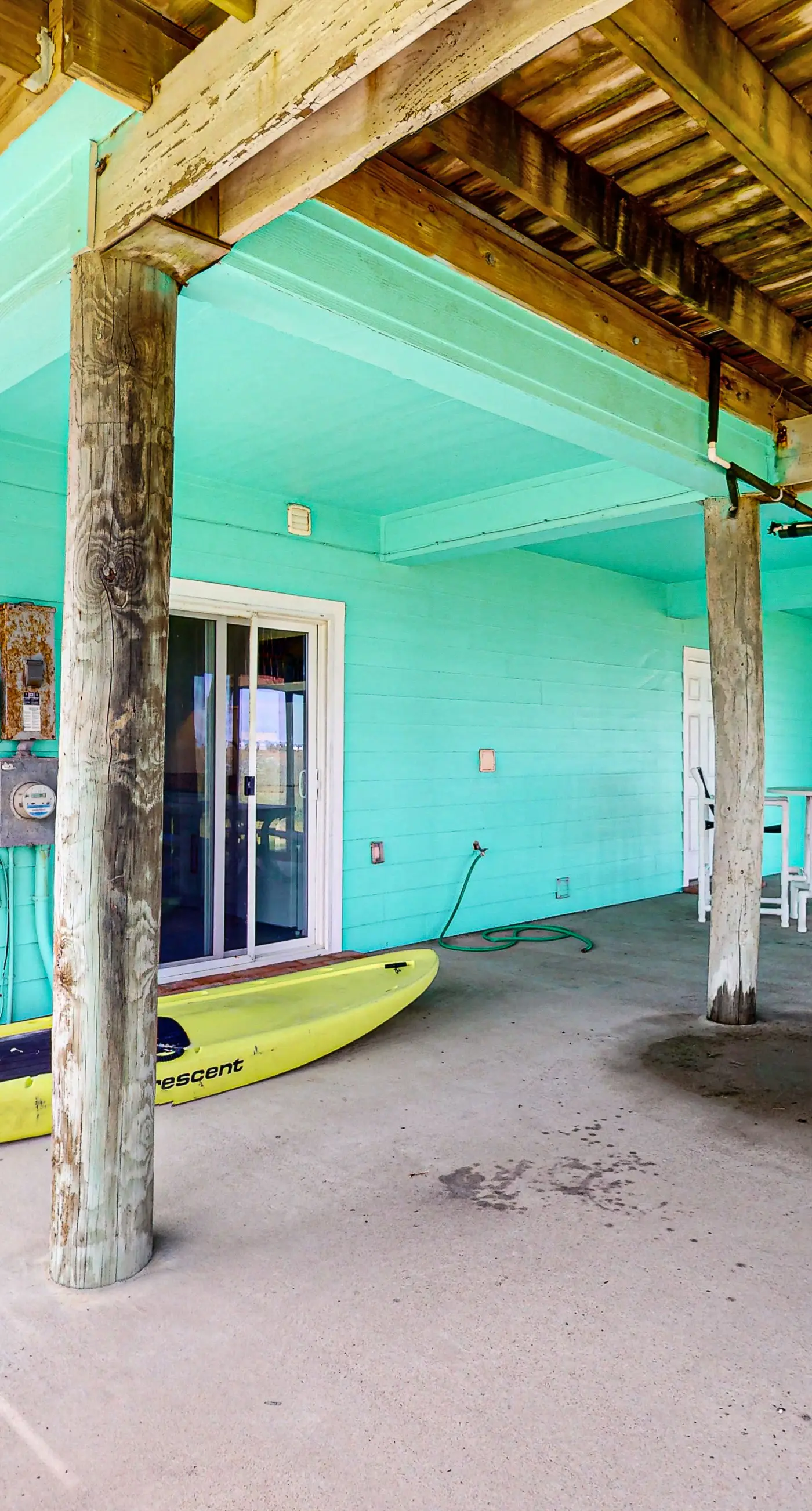 Lost Colony Lost Sea Turtle