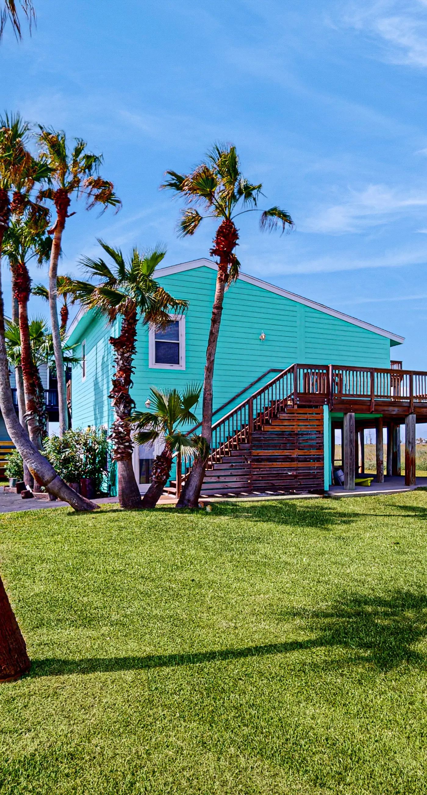 Lost Colony Lost Sea Turtle