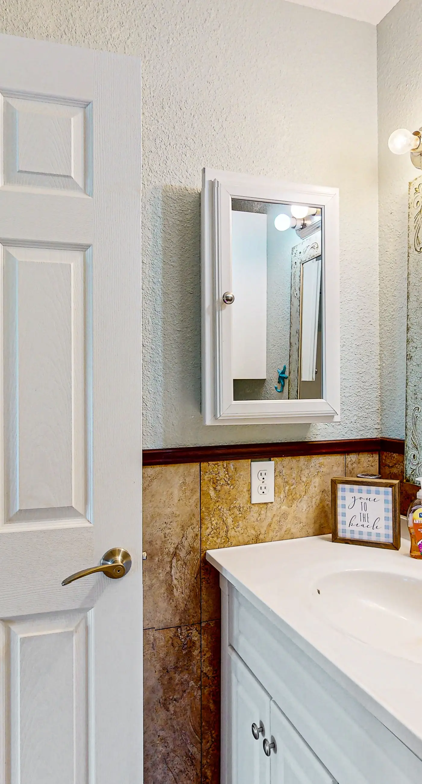 Lost Colony Lost Sea Turtle