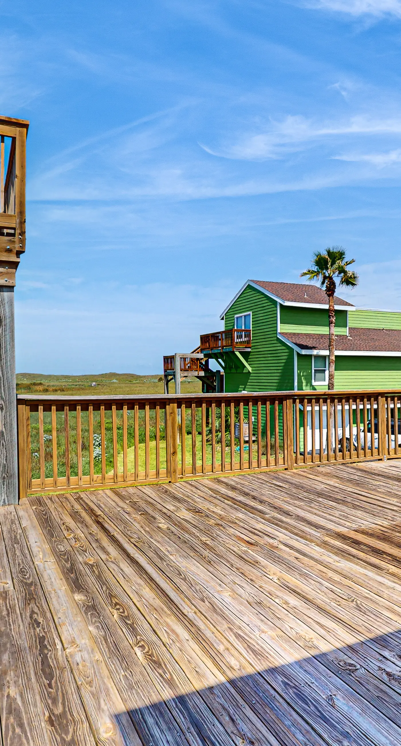 Lost Colony Lost Sea Turtle