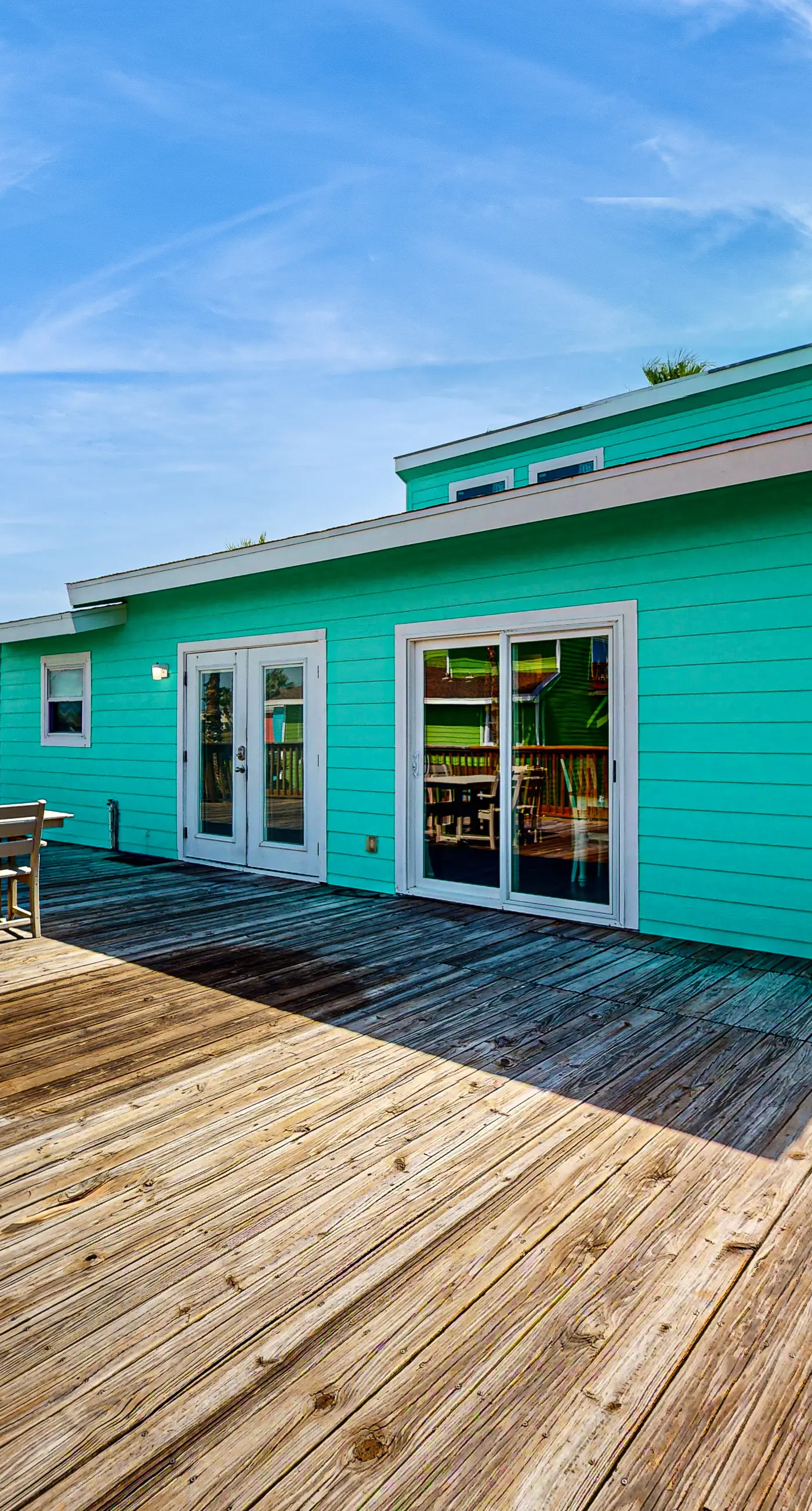 Lost Colony Lost Sea Turtle