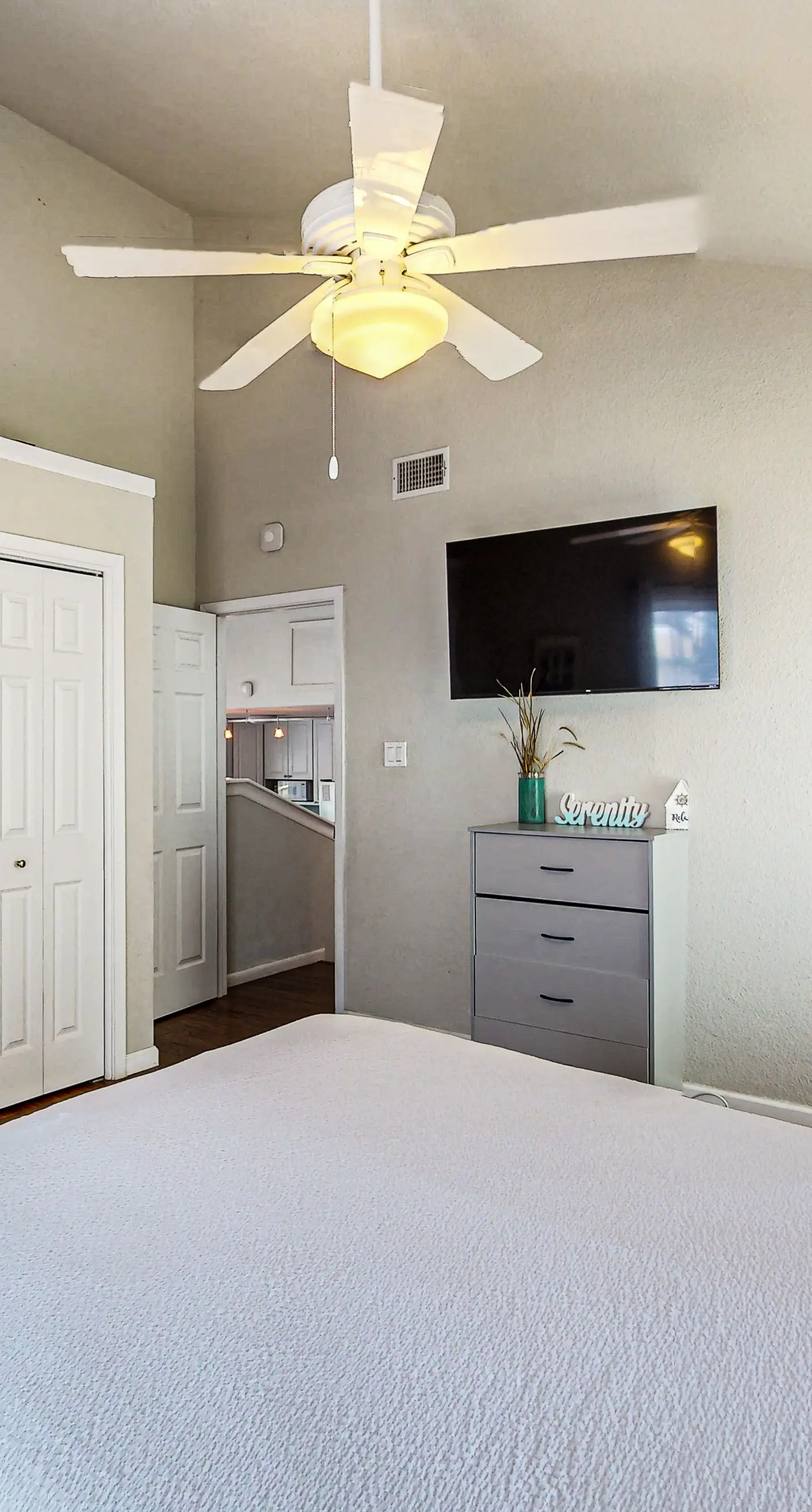 Lost Colony Lost Sea Turtle