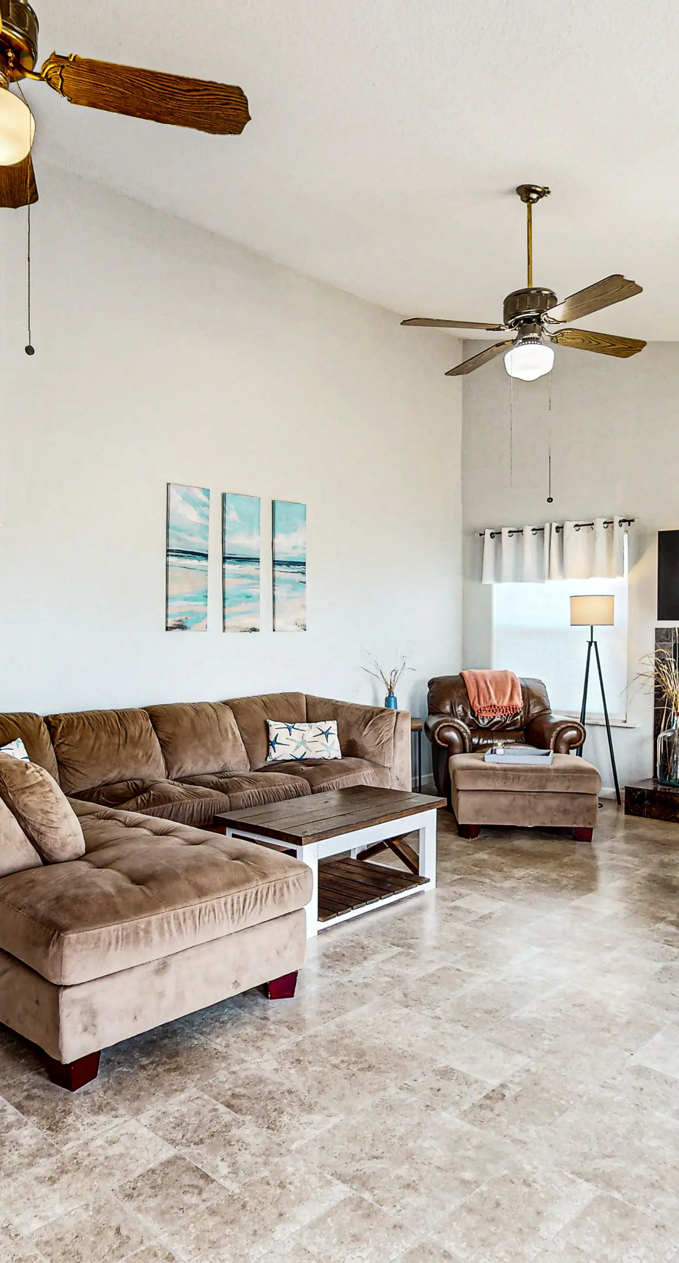 Lost Colony Lost Sea Turtle