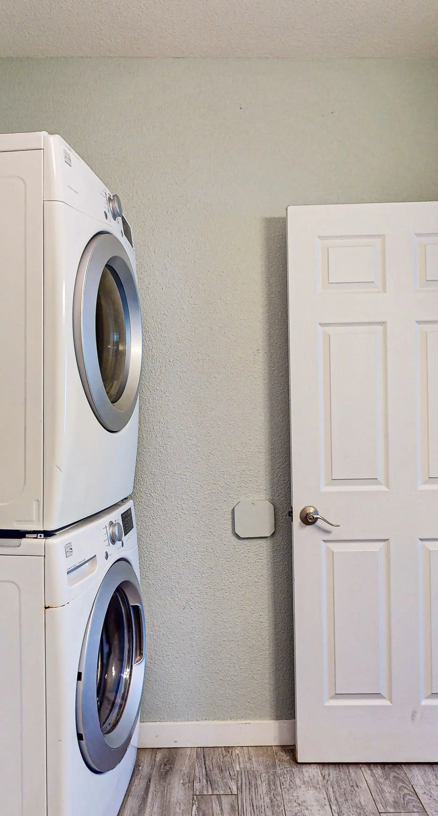 Lost Colony Lost Sea Turtle