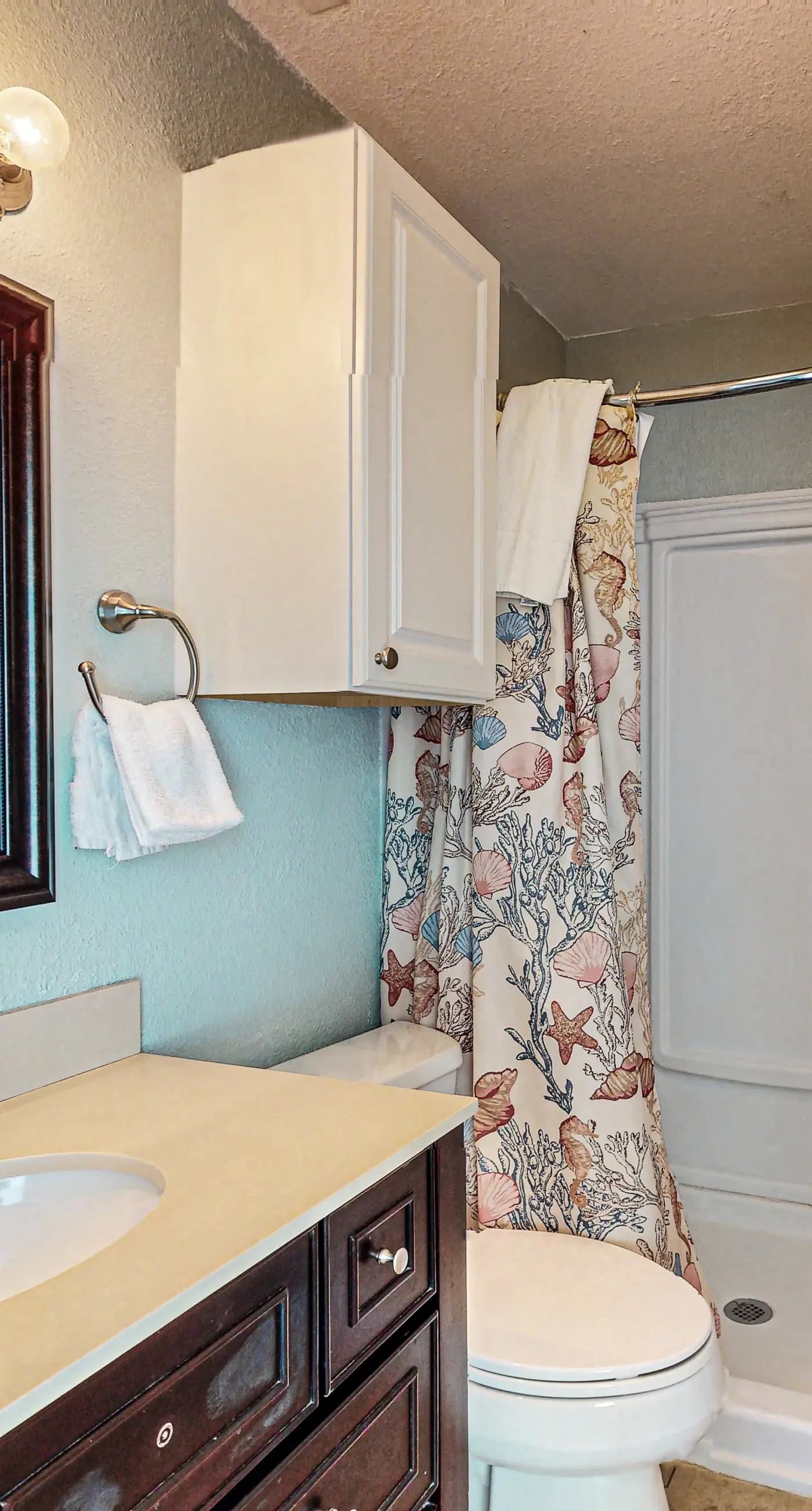 Lost Colony Lost Sea Turtle