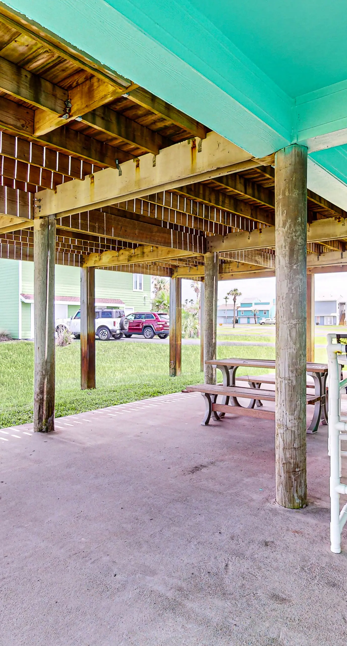 Lost Colony Lost Sea Turtle