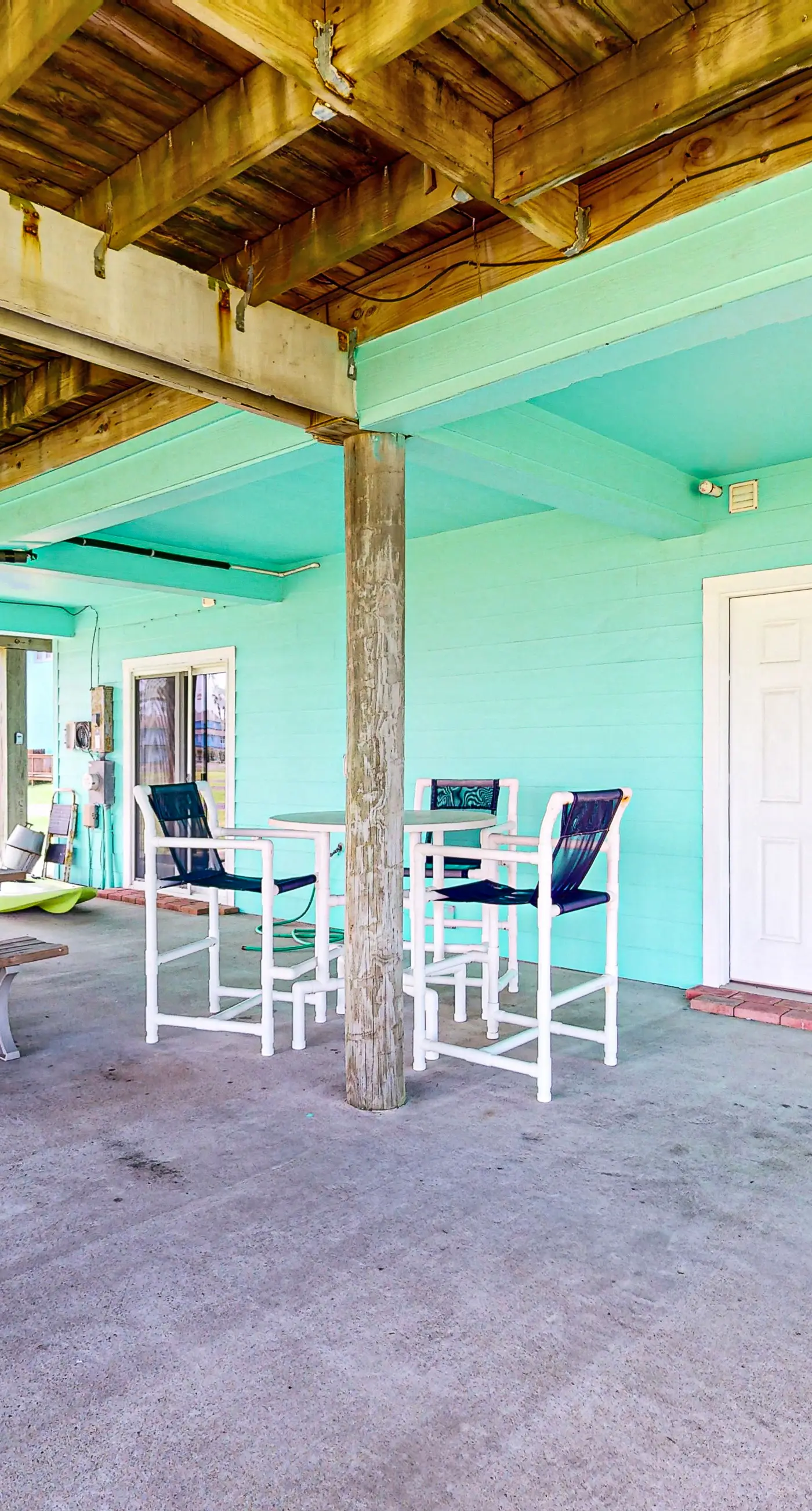 Lost Colony Lost Sea Turtle