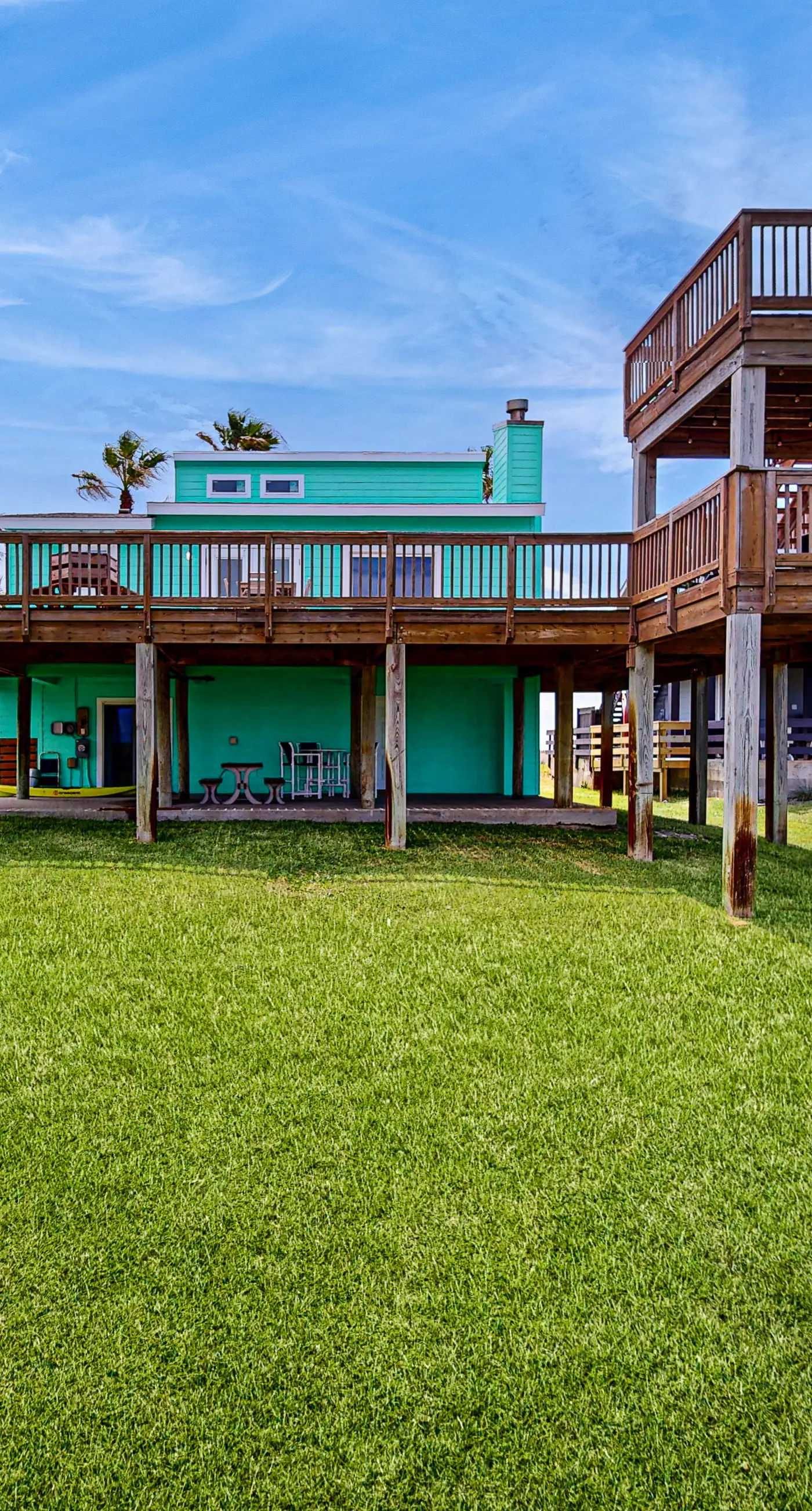 Lost Colony Lost Sea Turtle