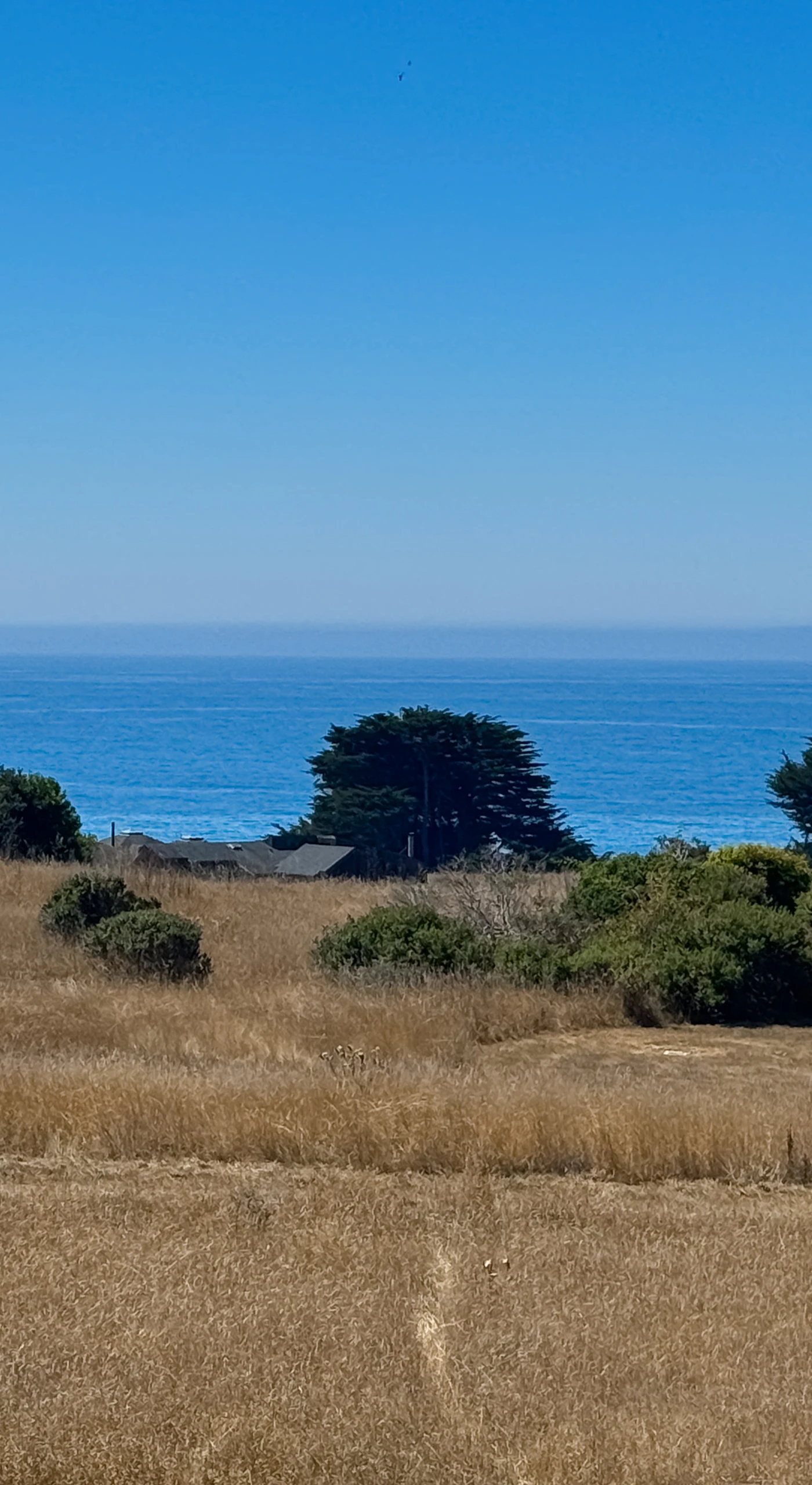 Gaze out at the endless ocean, where each wave whispers tranquility—your private slice of paradise.