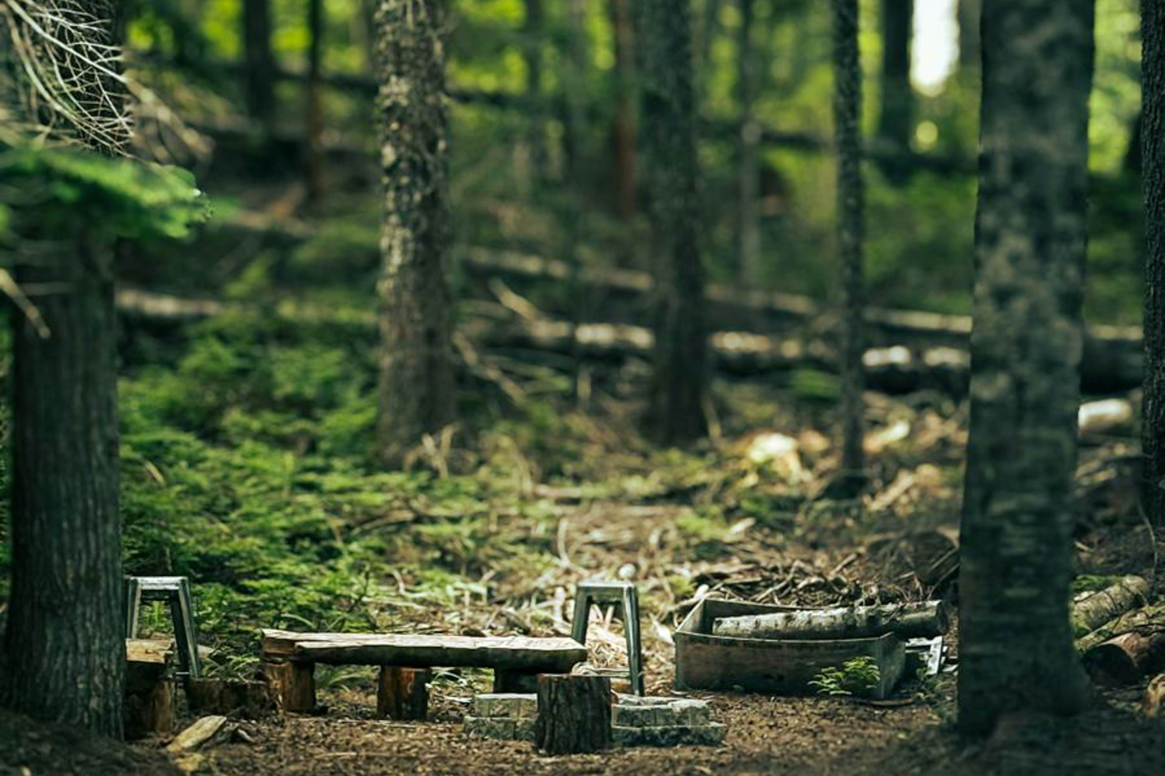 Alpine Classic A-Frame