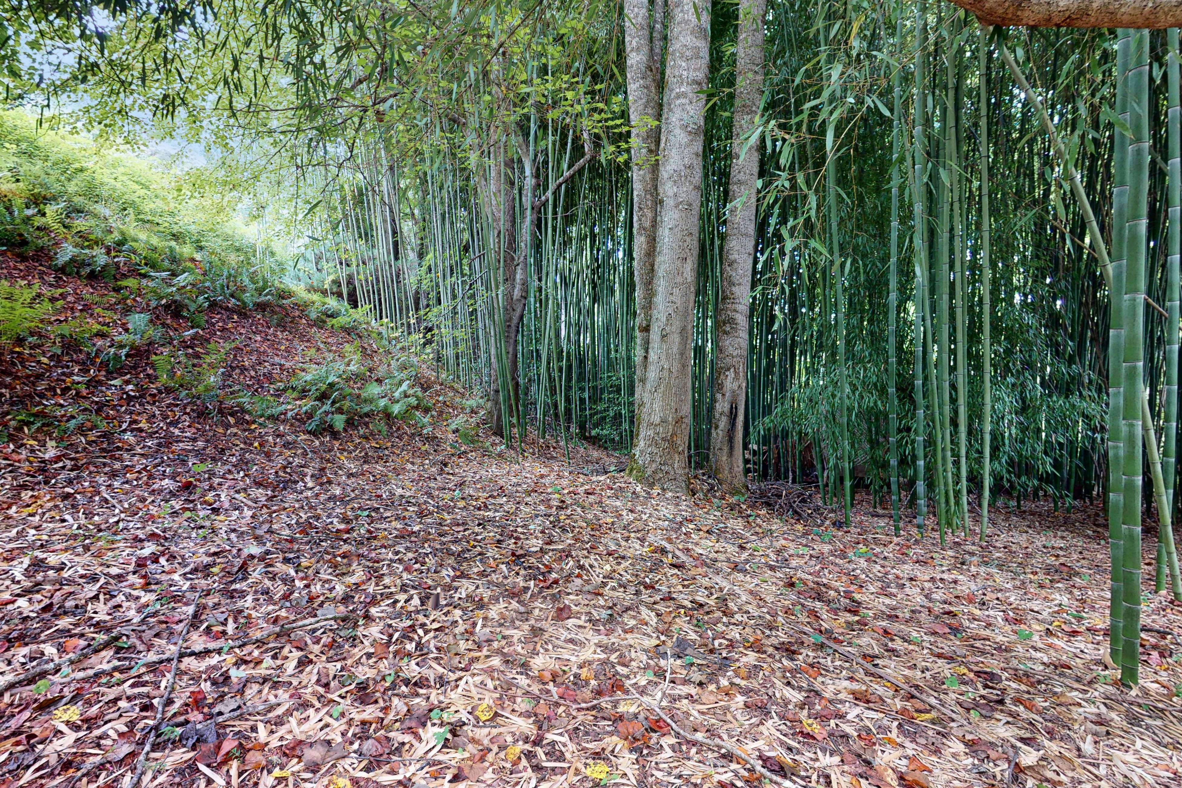 Circle House in the Smoky Mountains