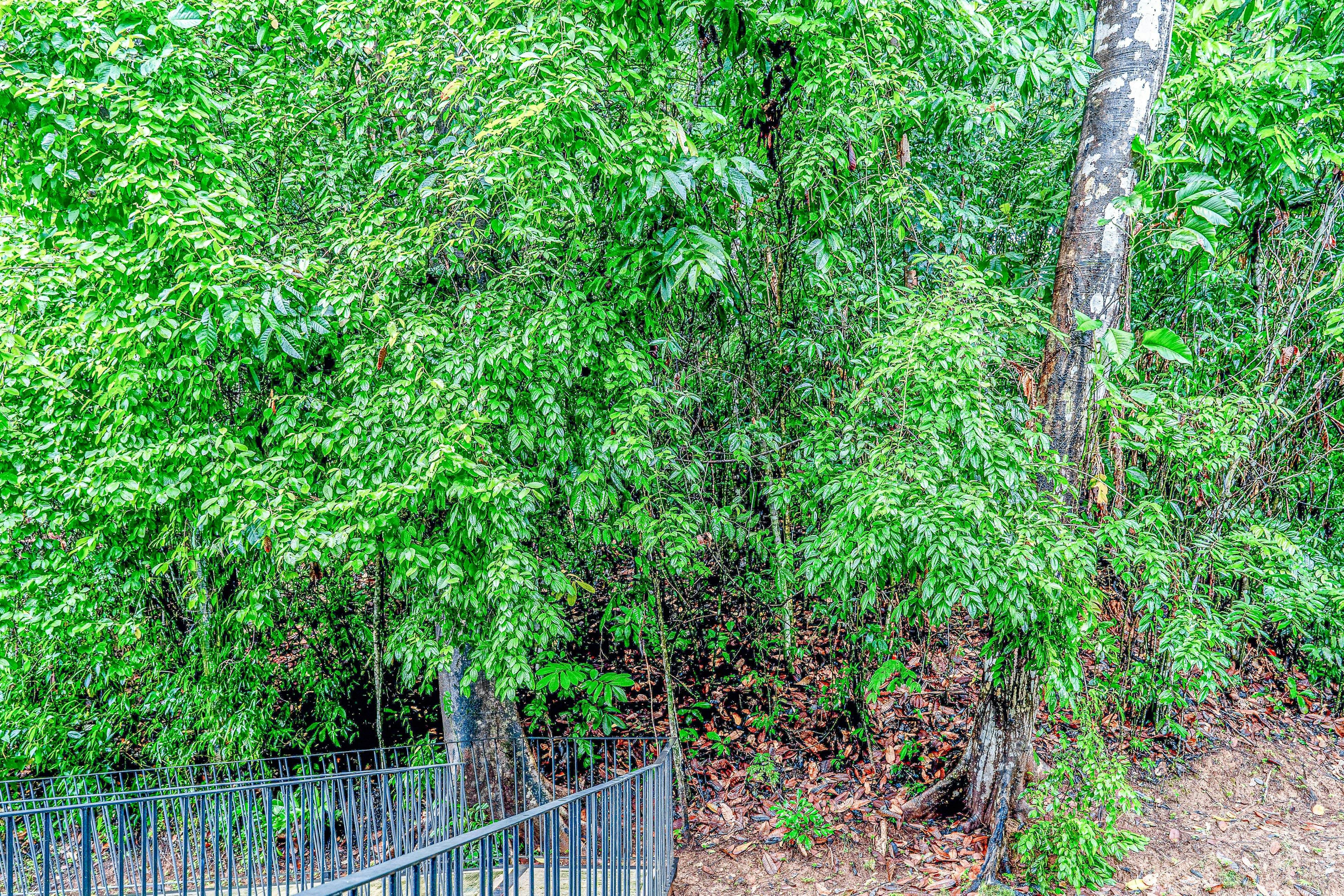 Nautilus B23 - Místico