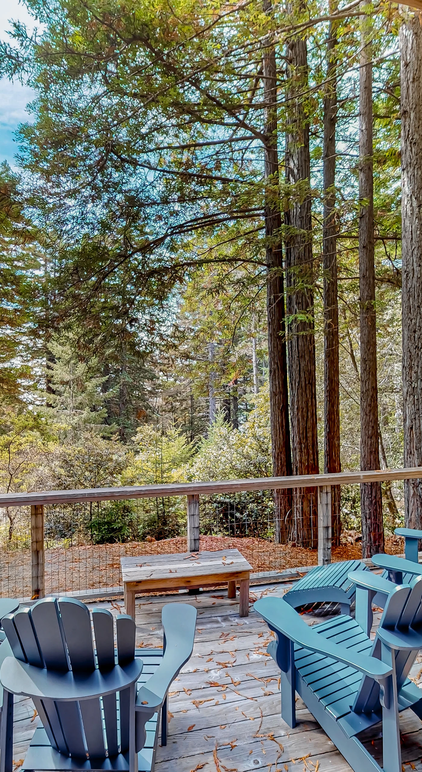 Step onto your private deck, surrounded by towering redwoods, perfect for morning coffee or evening stargazing.