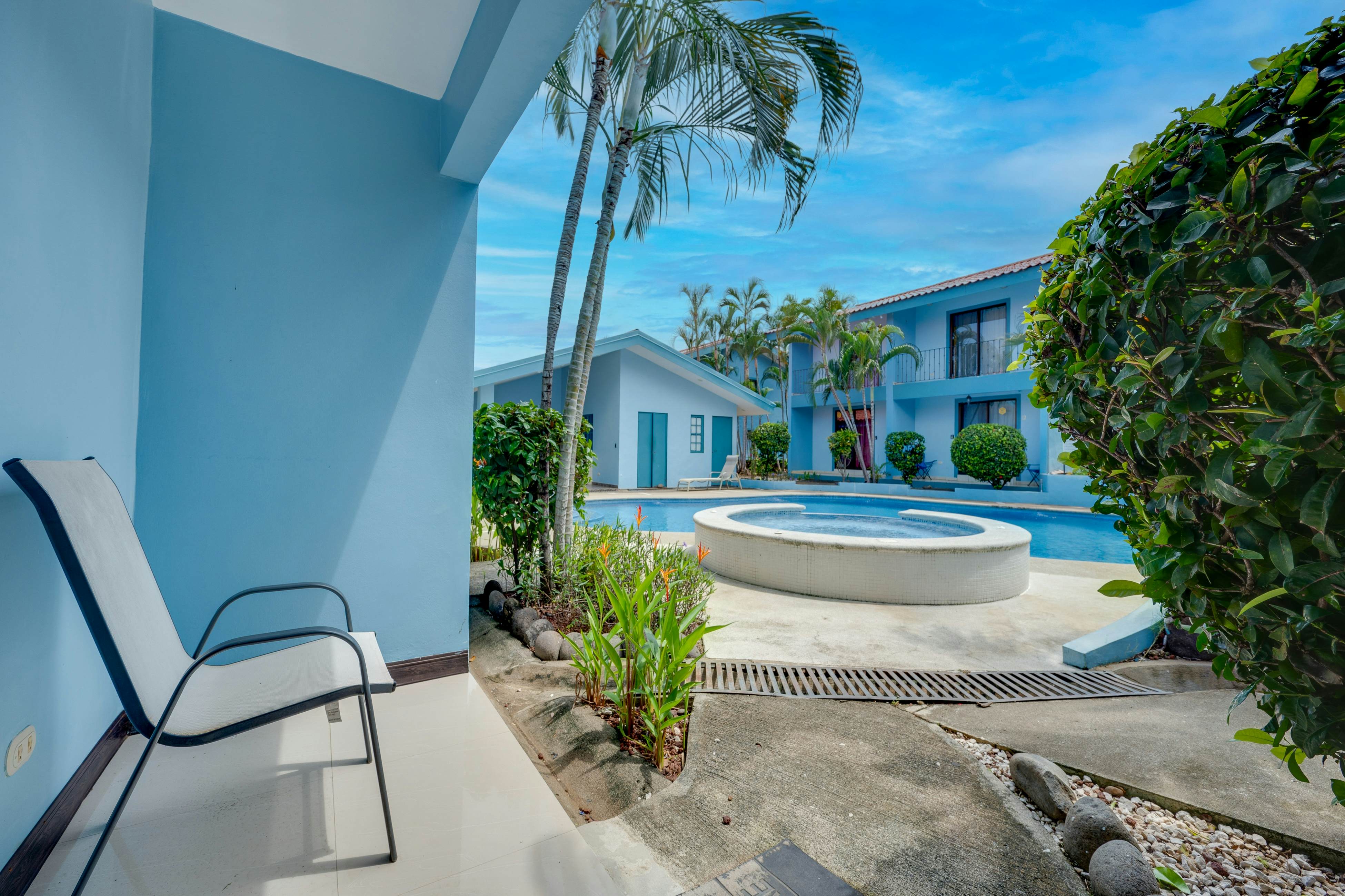 Canela Costarican Sueños