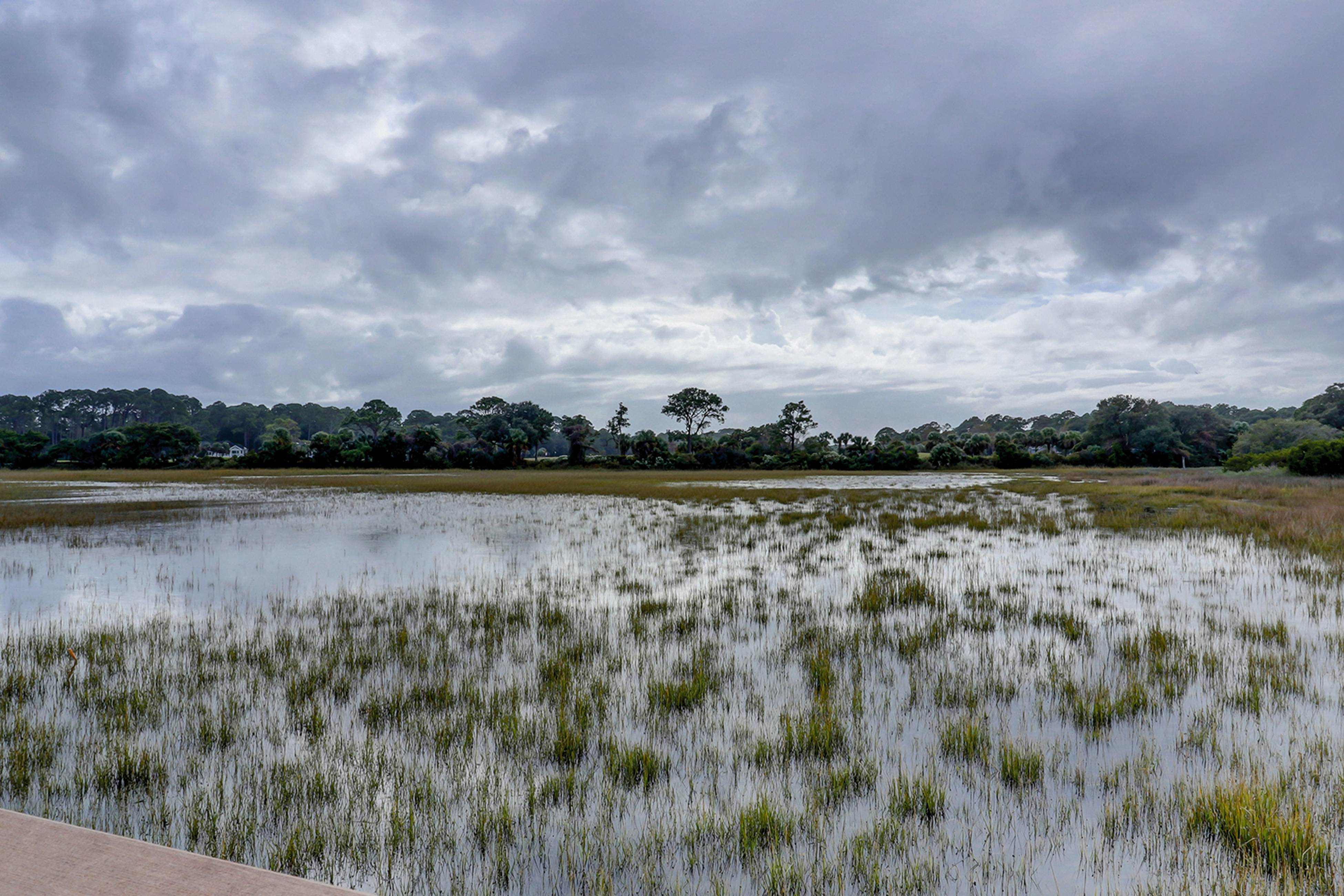 Hilton Head Resort 2301