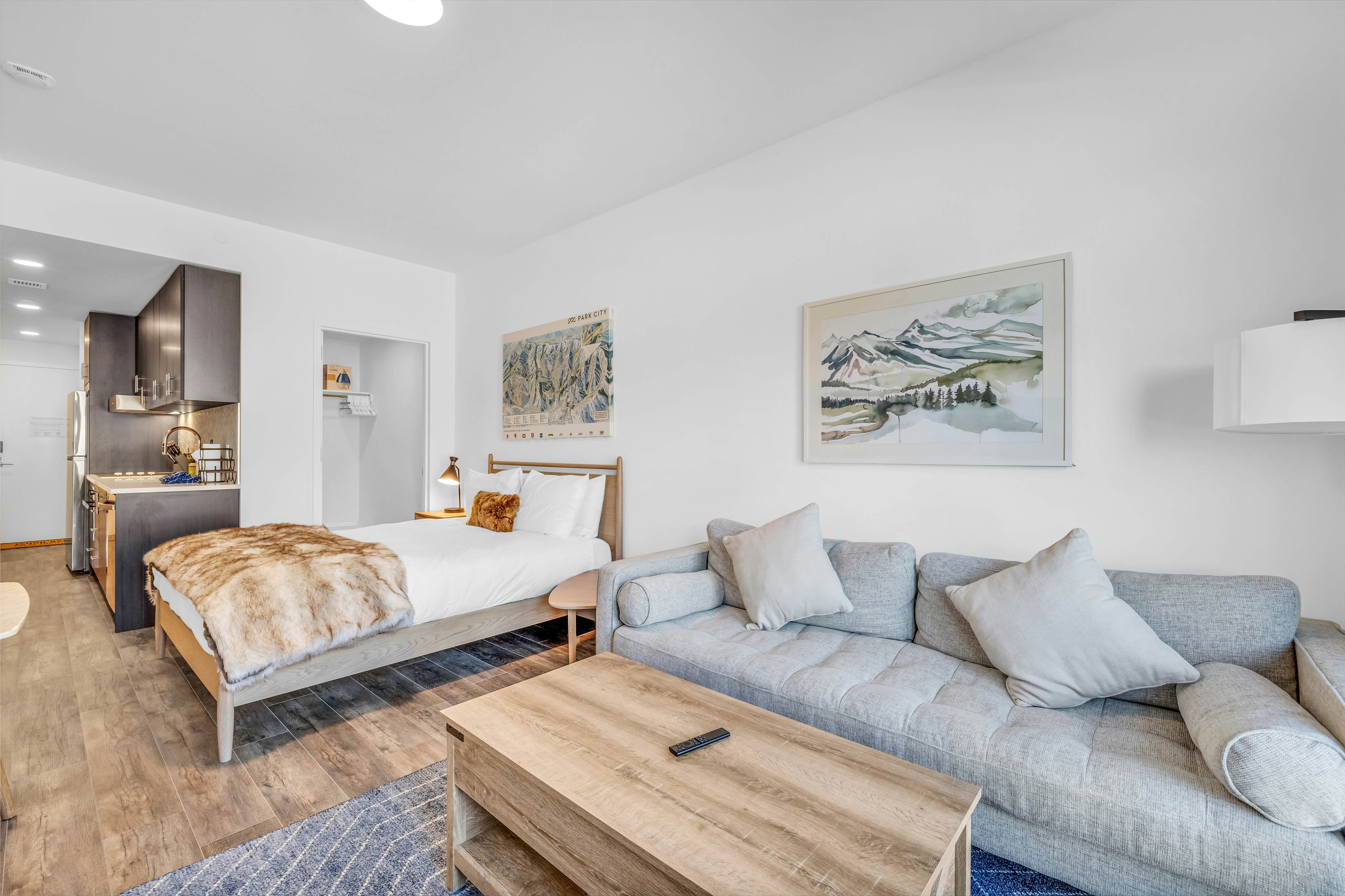 Pioche Village #1238