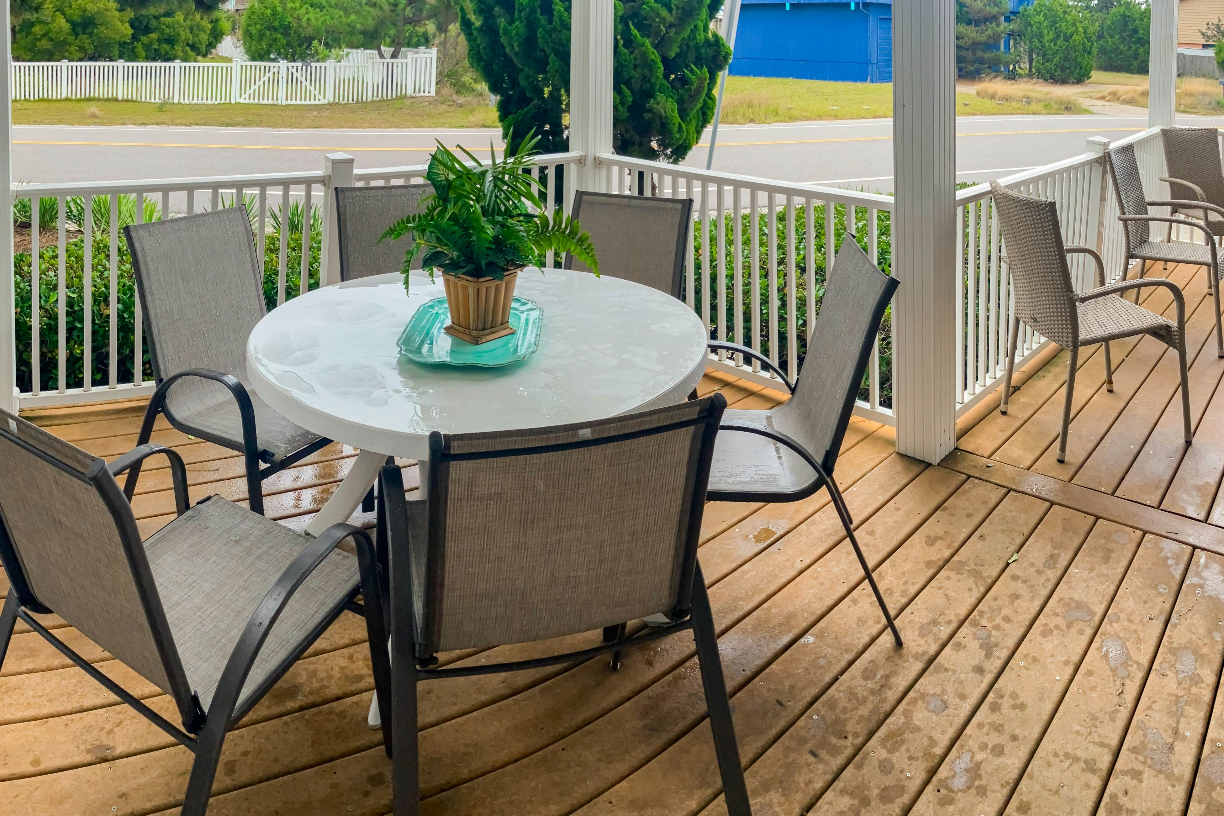 Seaside C103- Sand Dollar 