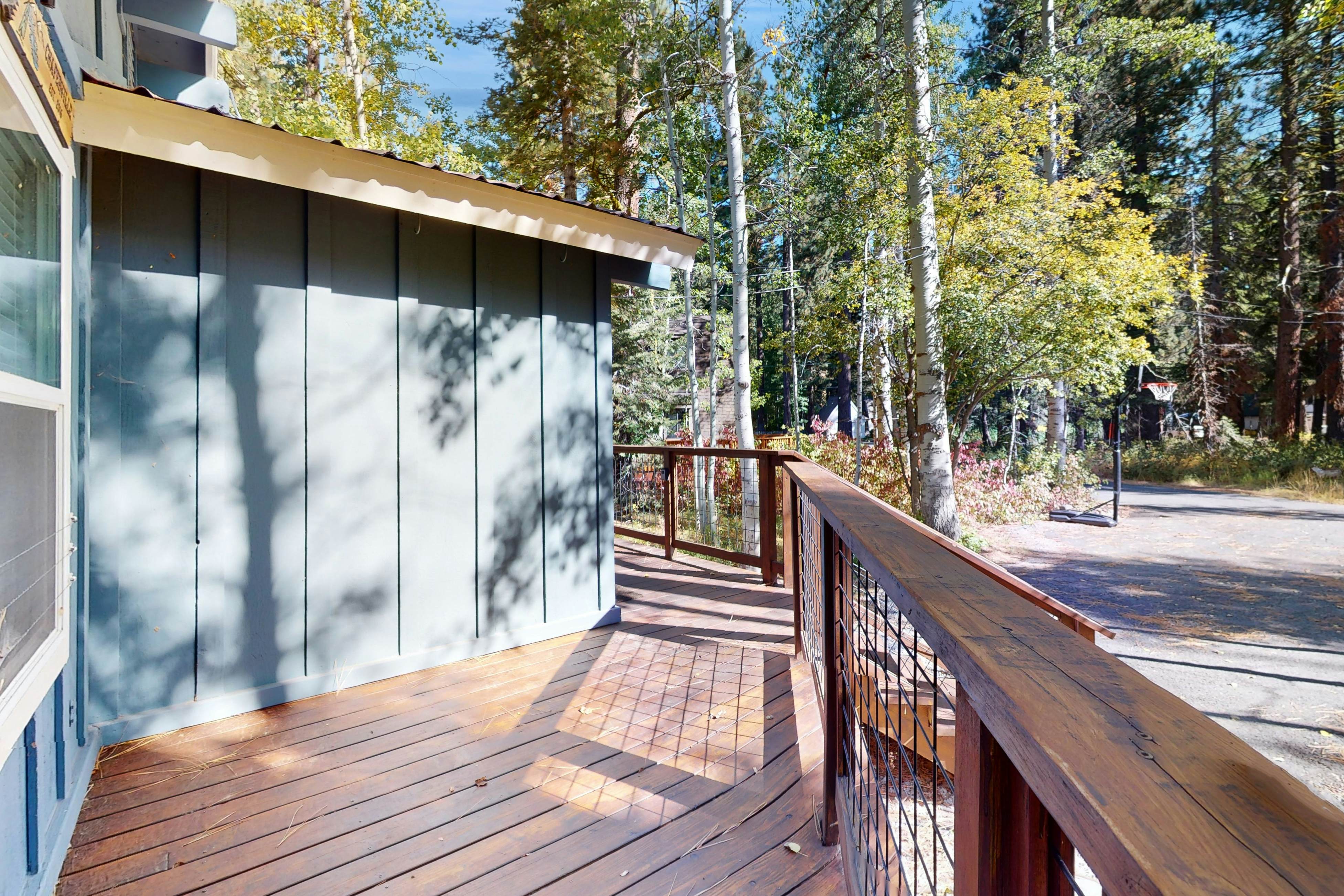 Homewood Cabin Among the Pines