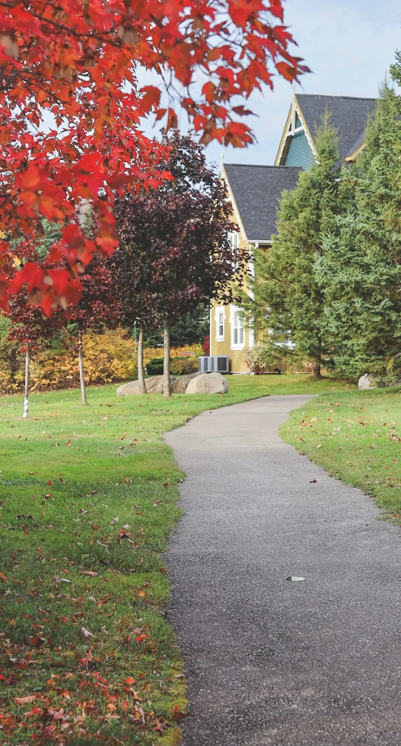 184 Snowbridge Way-Unit 218