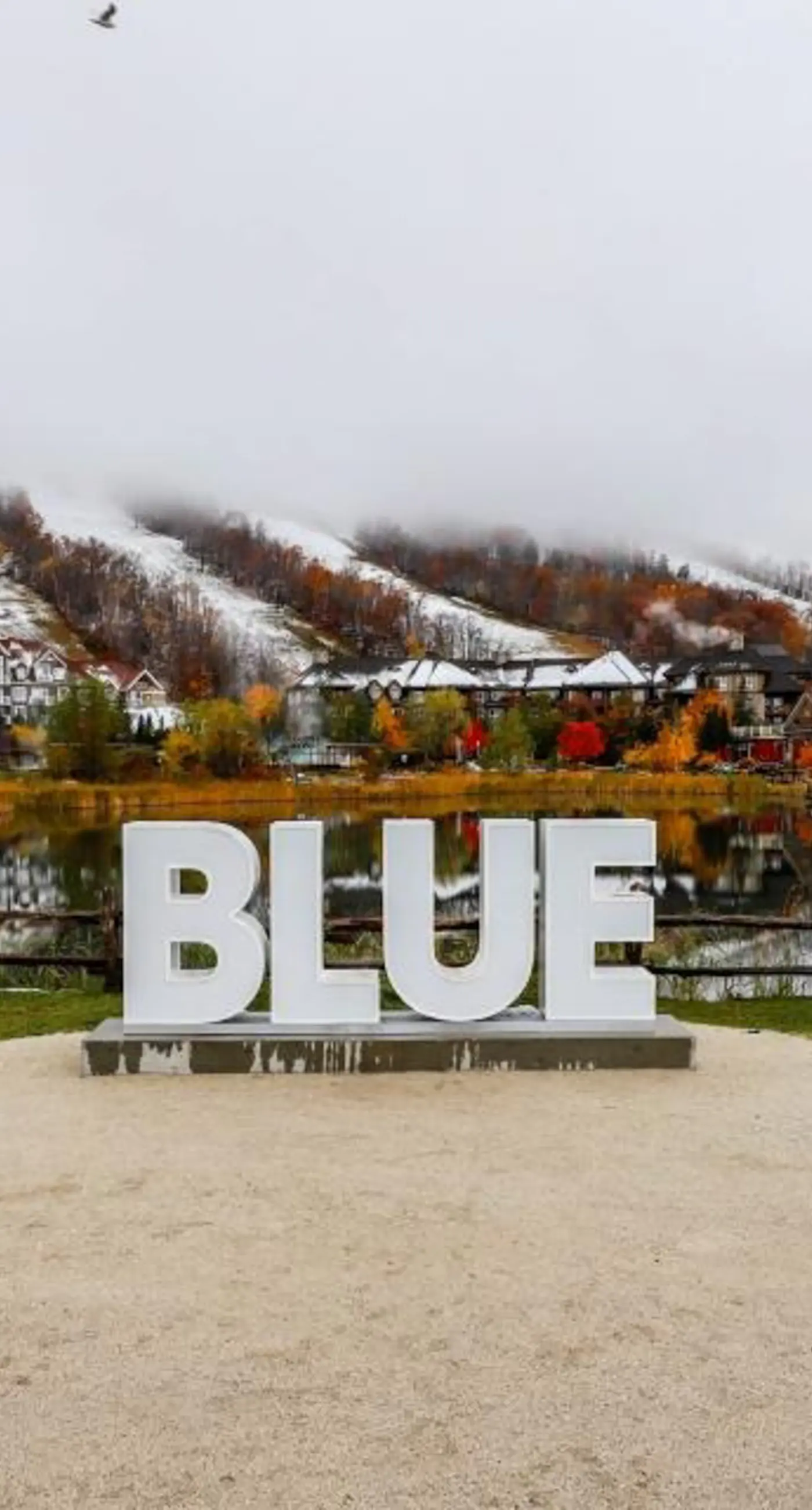 184 Snowbridge Way-Unit 218