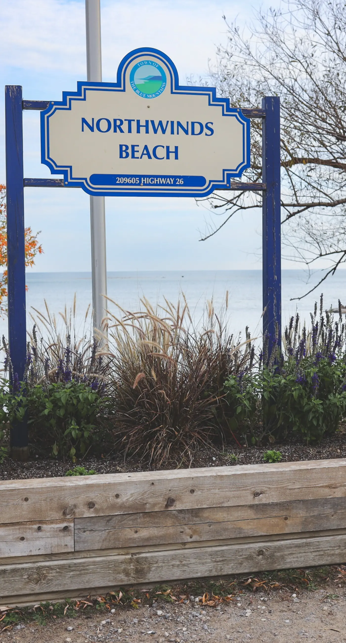 184 Snowbridge Way-Unit 218
