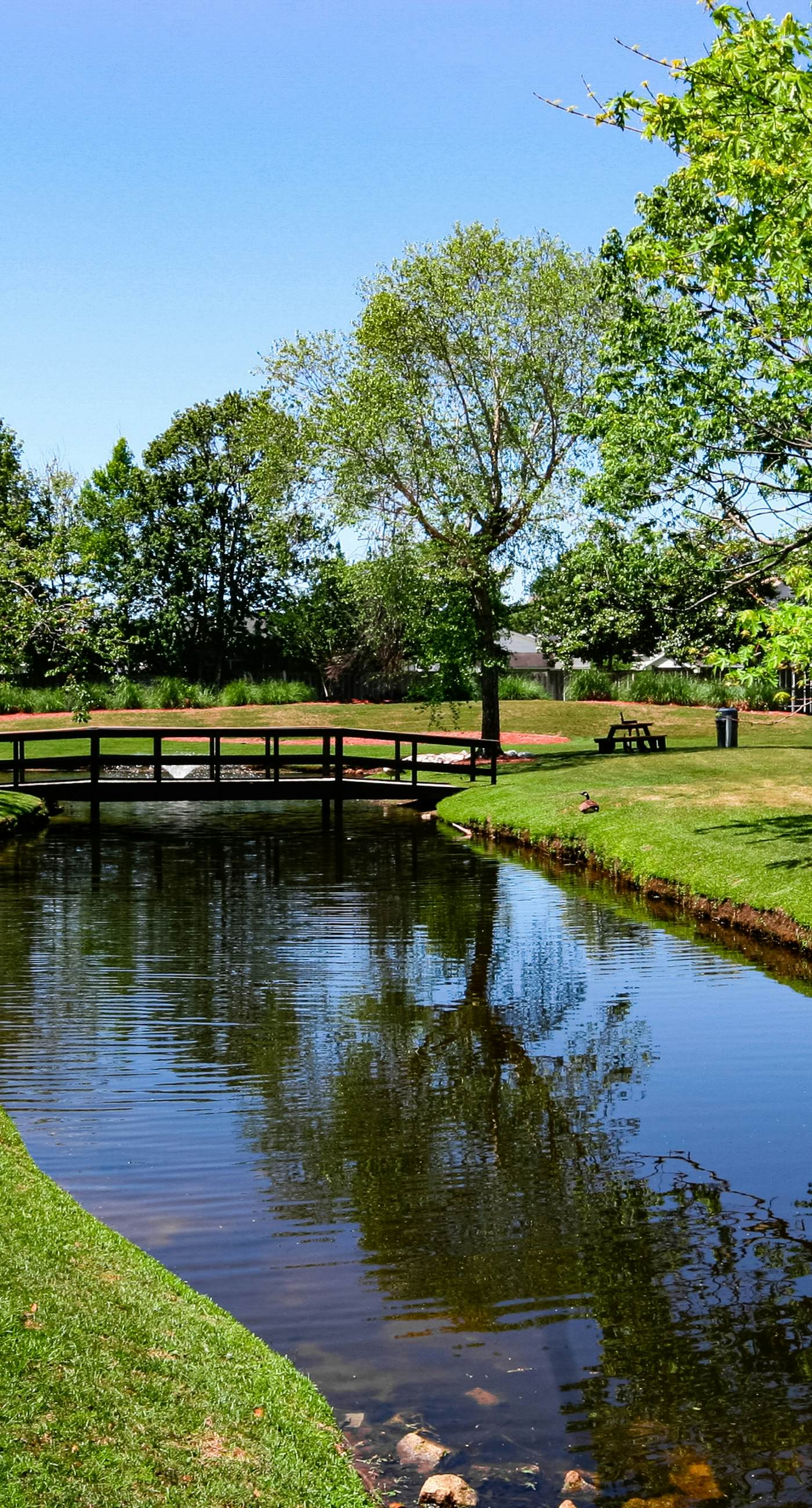 Myrtle Beach Resort A-544