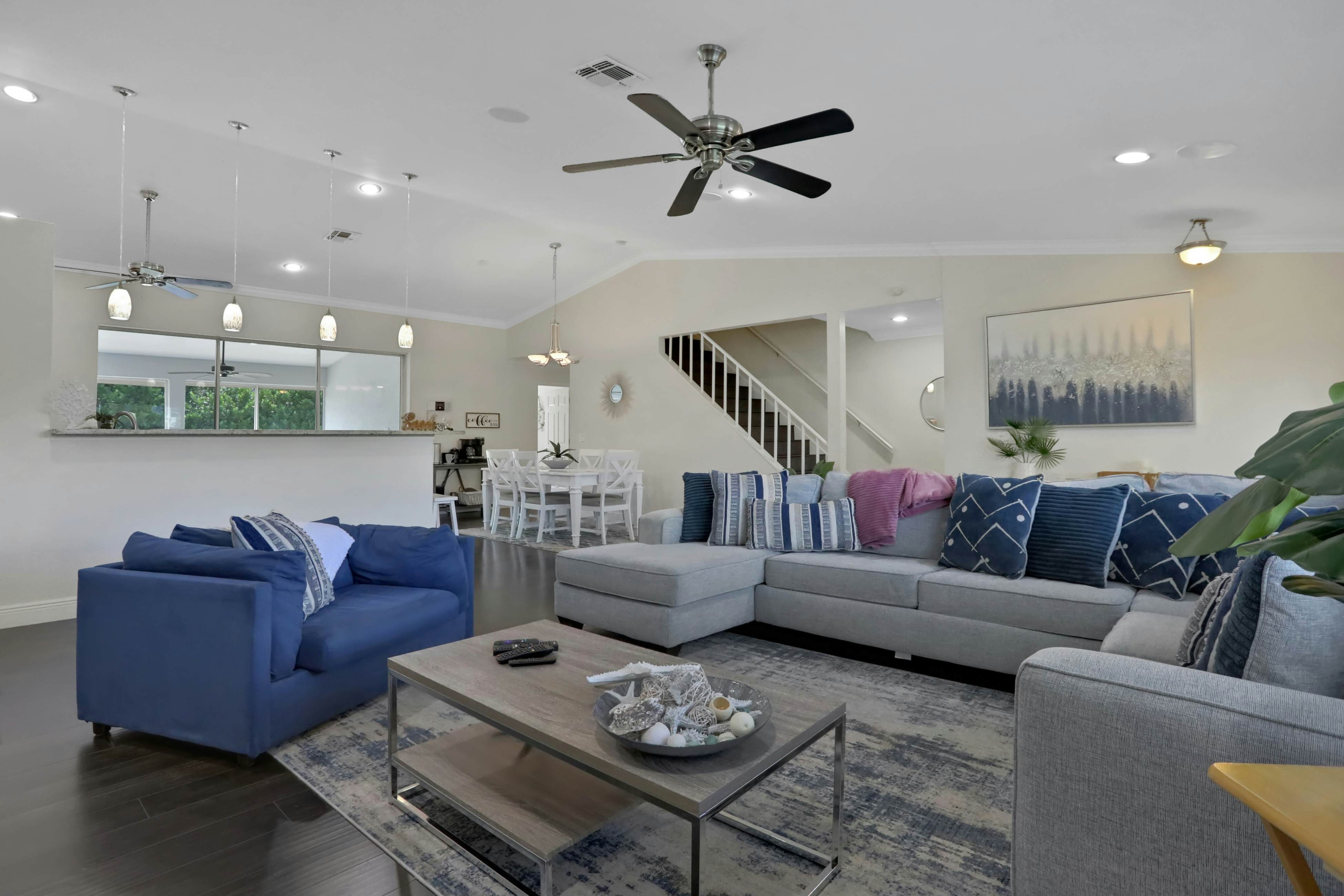 The Bonita Rita  Oasis 