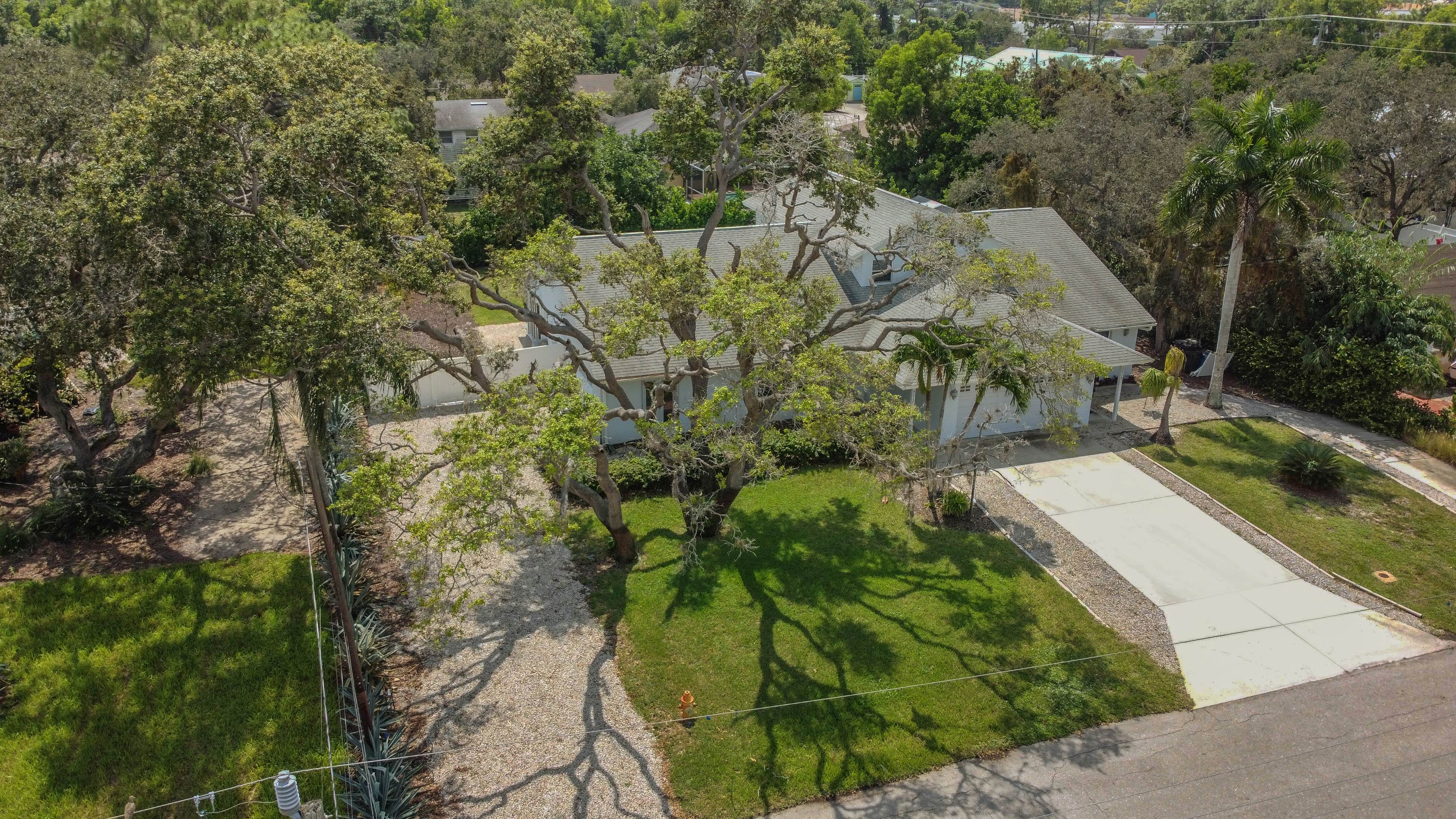 The Bonita Rita  Oasis 