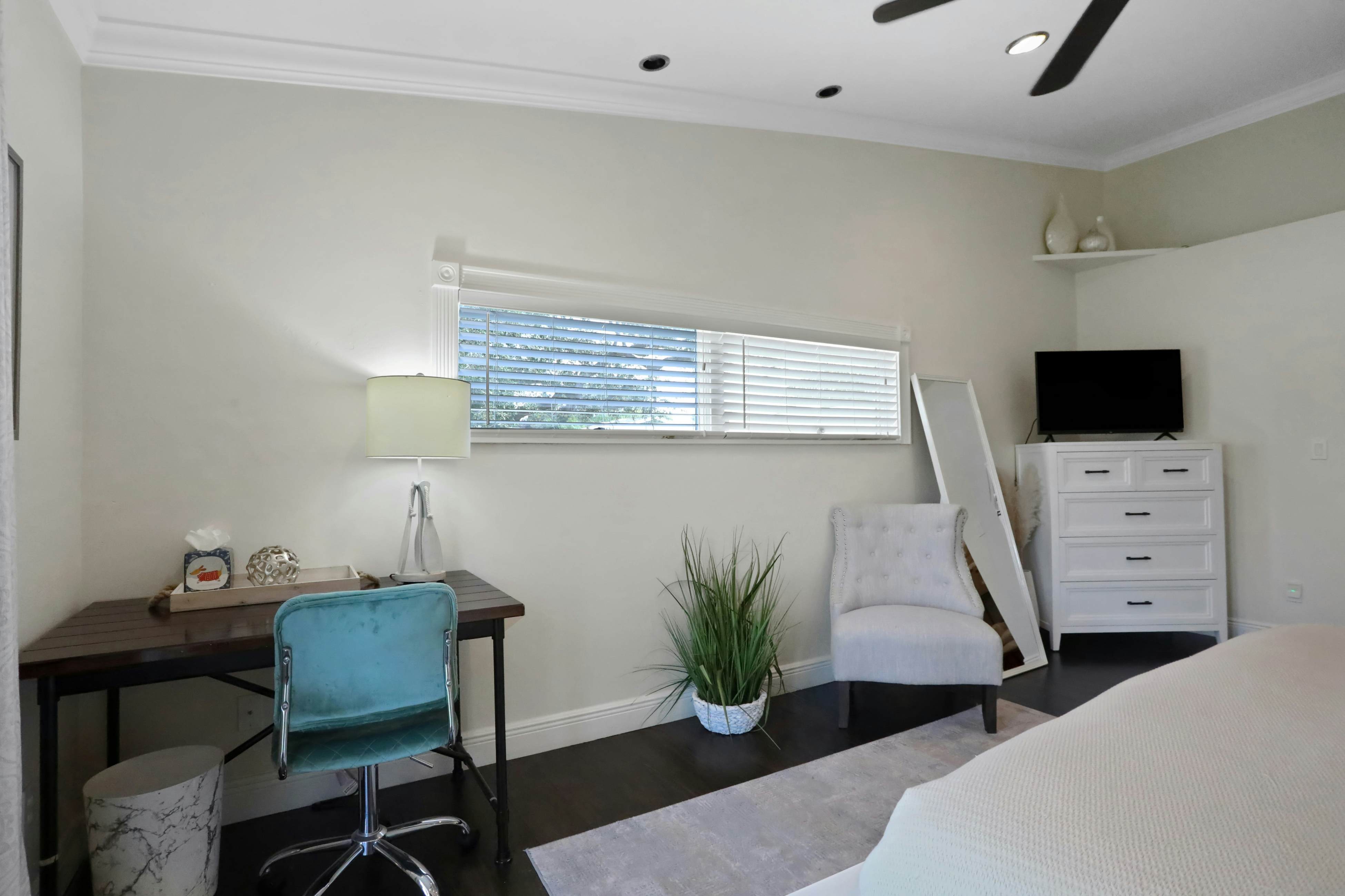 The Bonita Rita  Oasis 