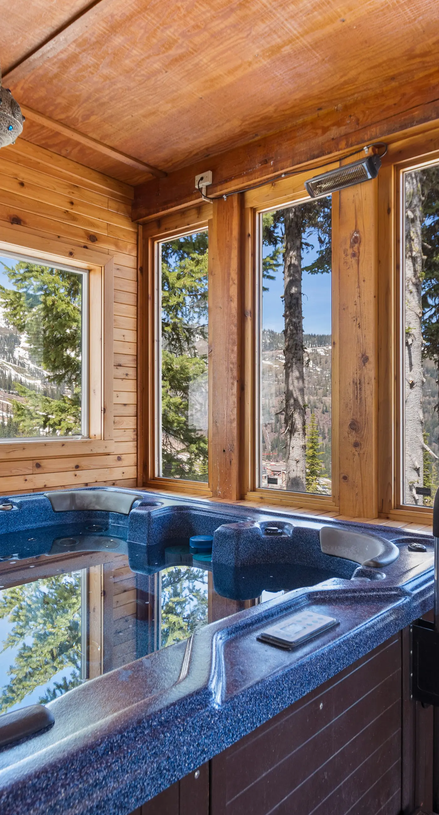 The Castles on Schweitzer