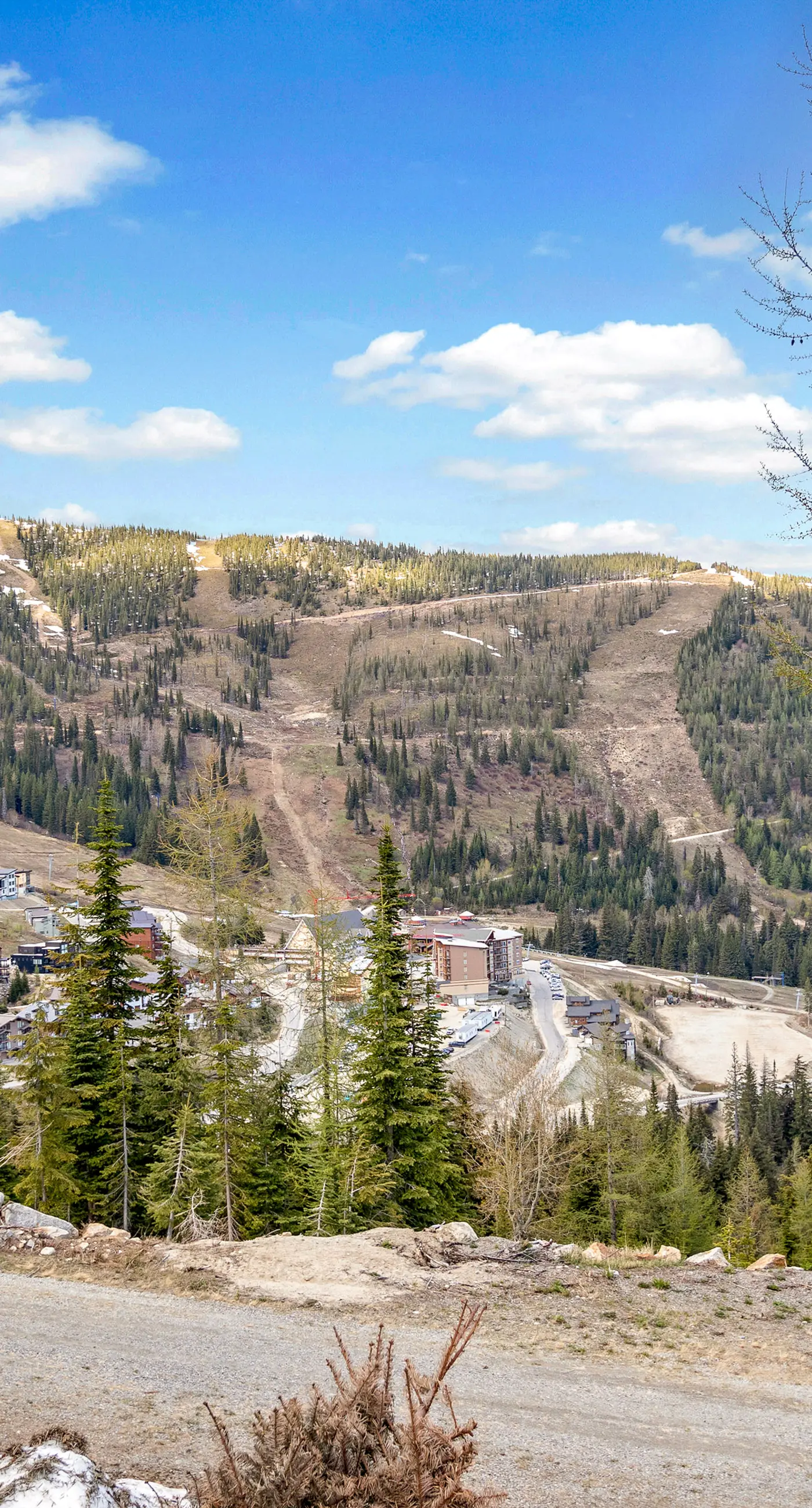 The Castles on Schweitzer