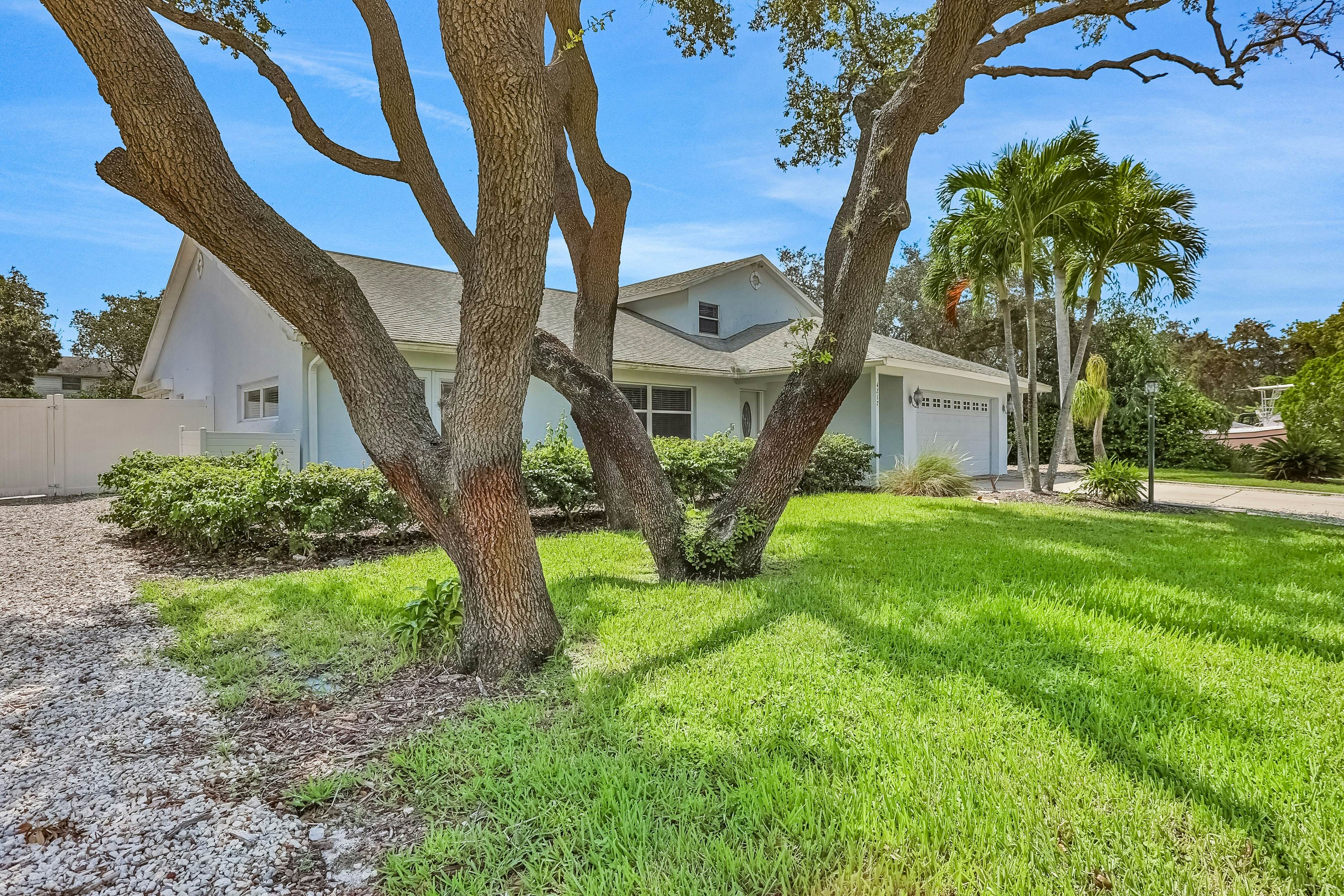 The Bonita Rita - Grande