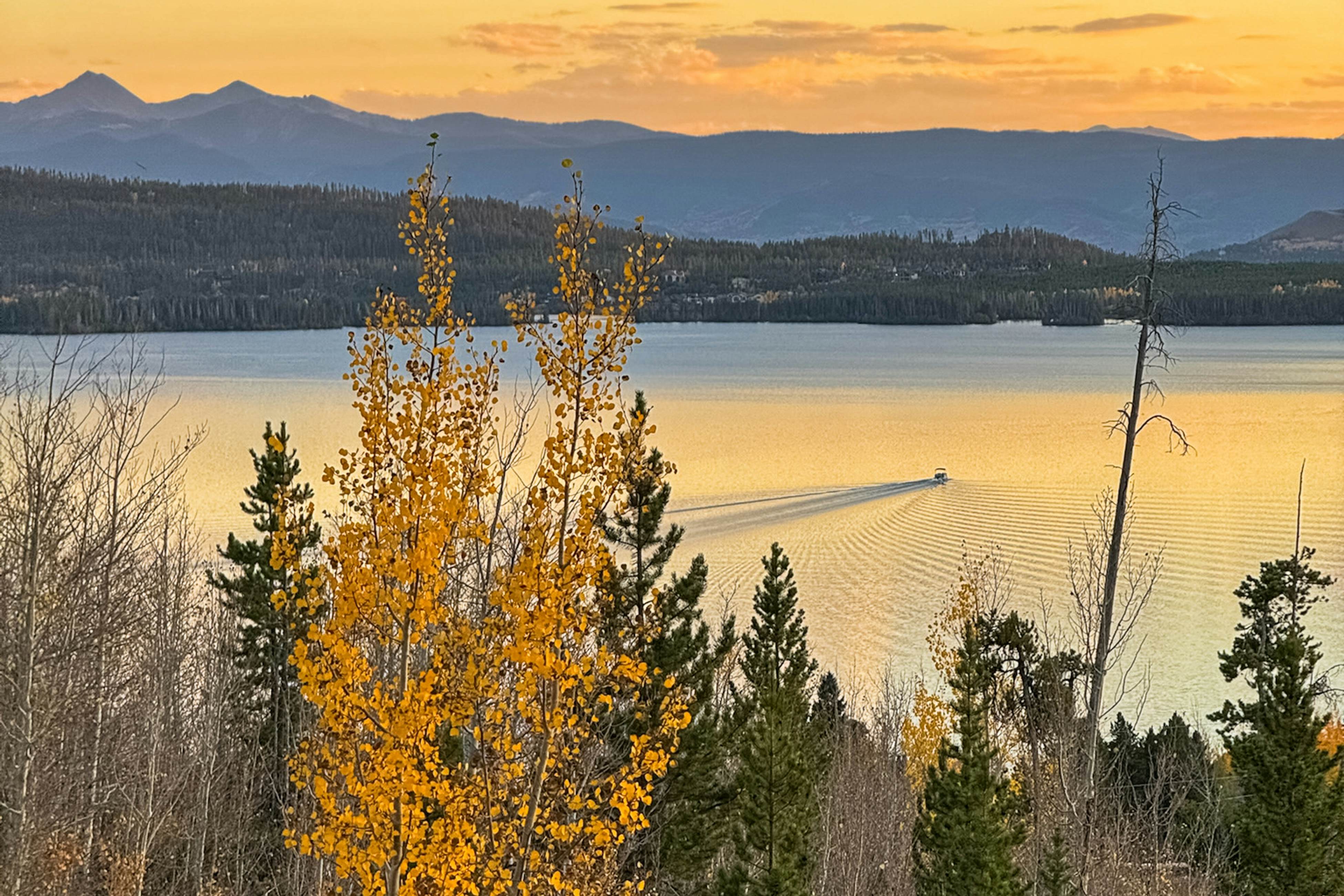 The Golden Moose Chalet