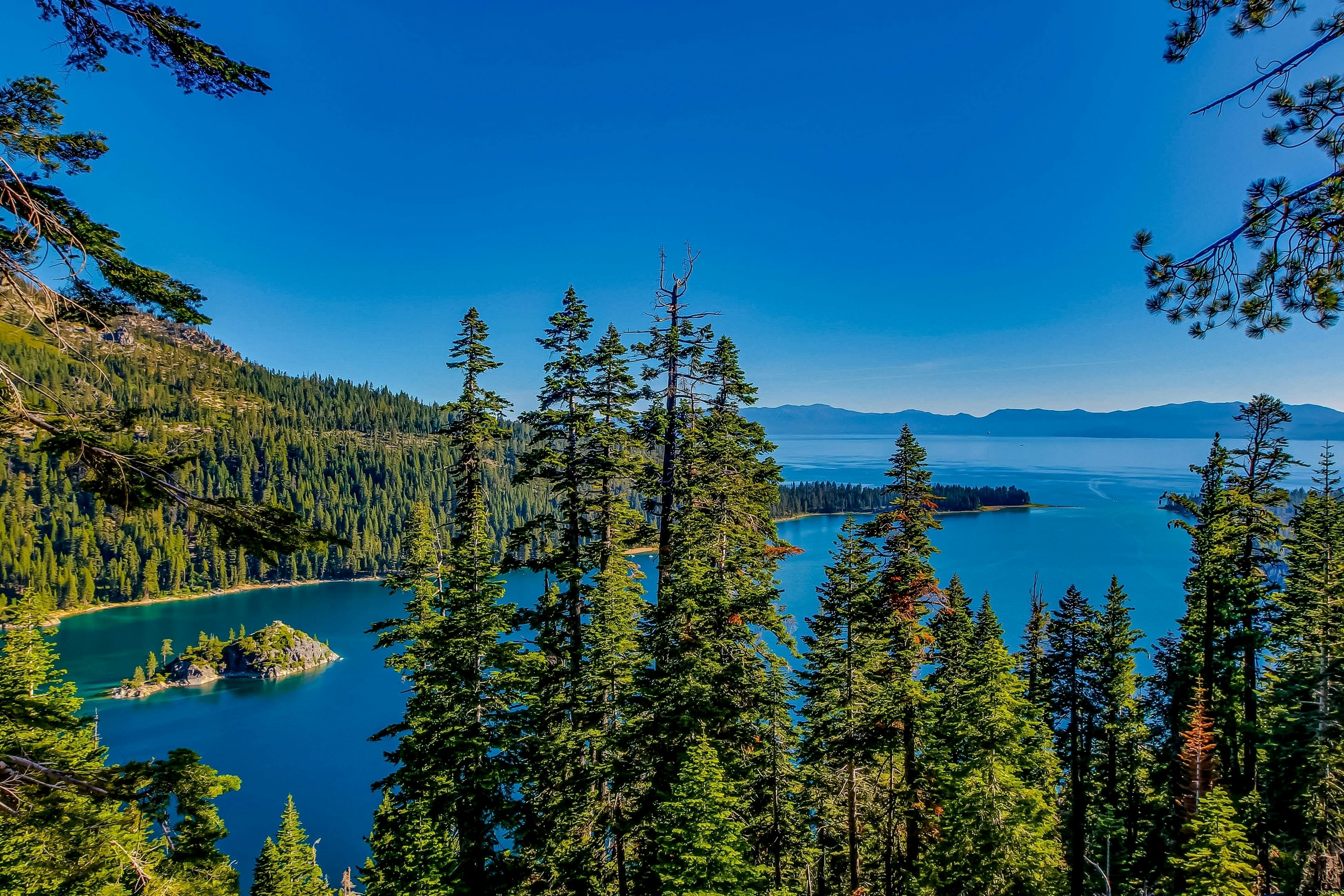 Lakeland Village #331