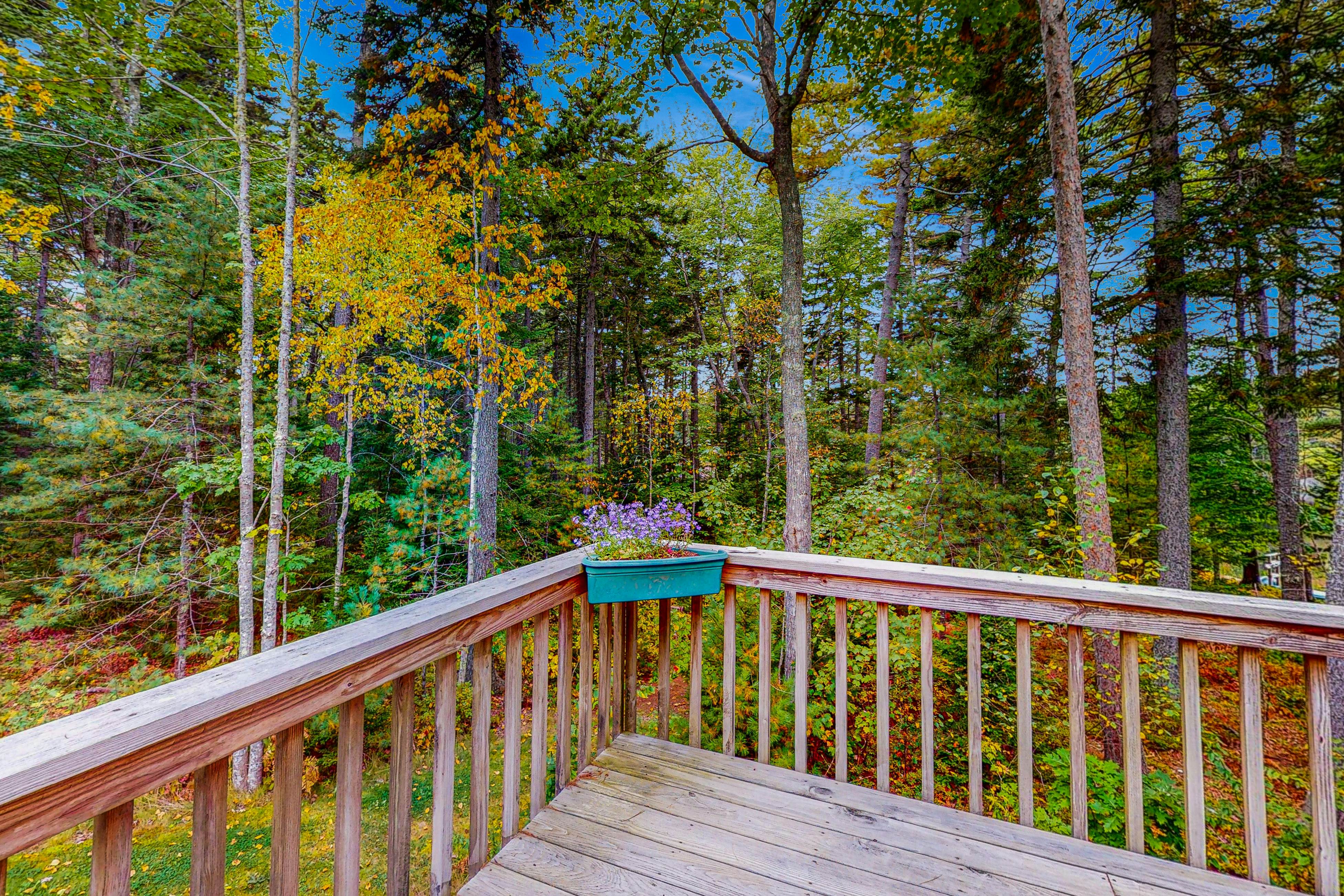 Appalachee Pond Waterfront Cottage