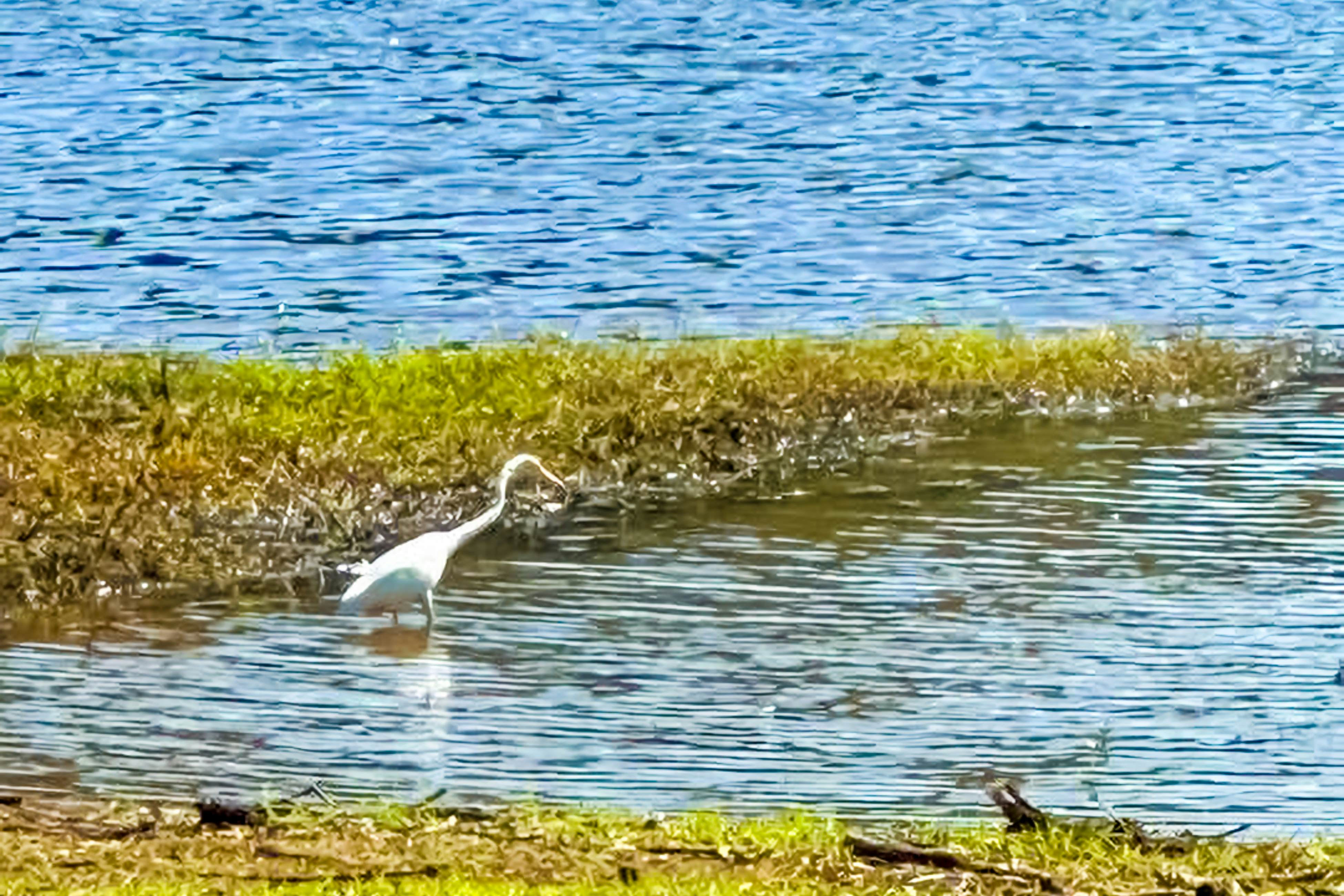 Cedar Pines Bungalow