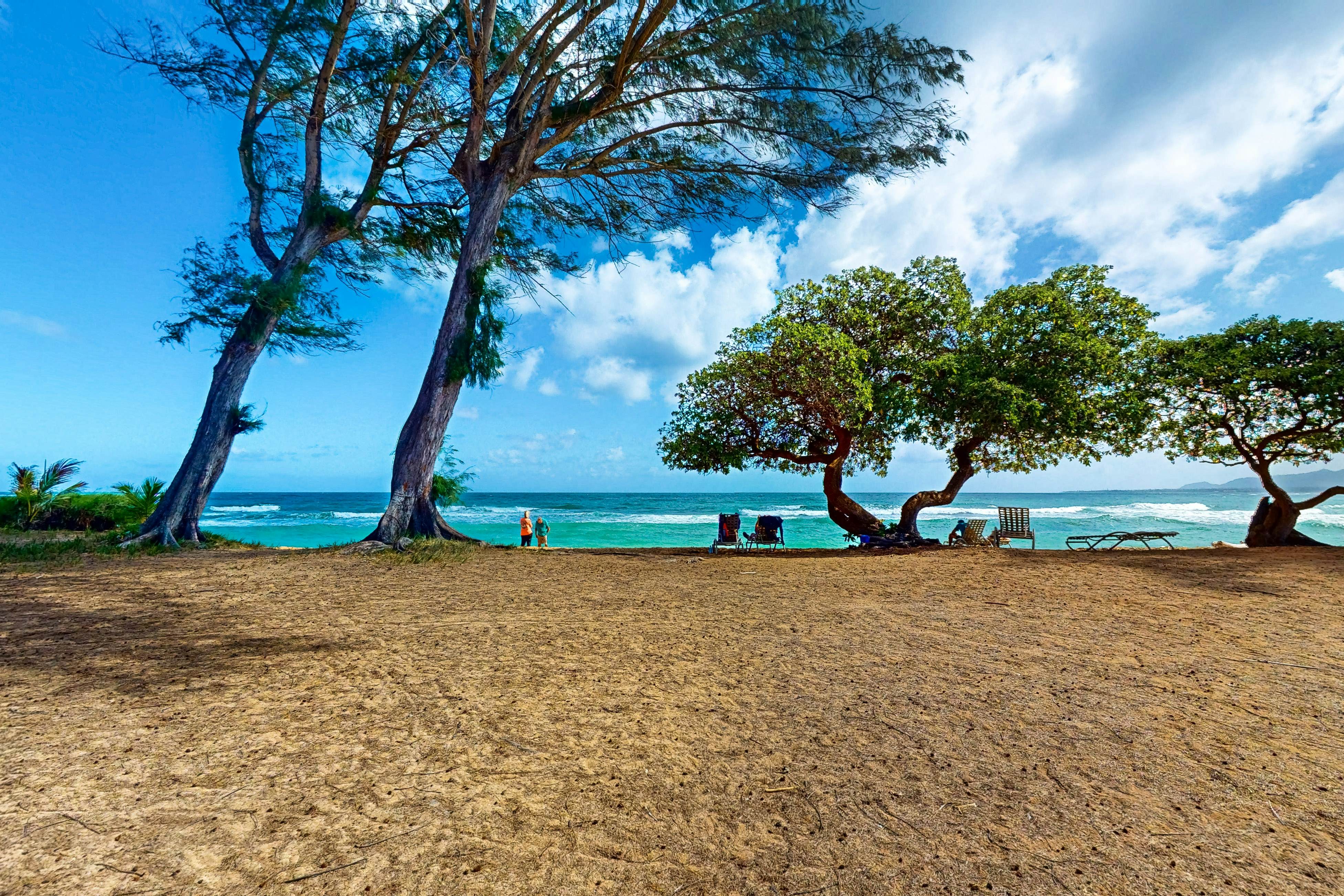 Islander on the Beach 164