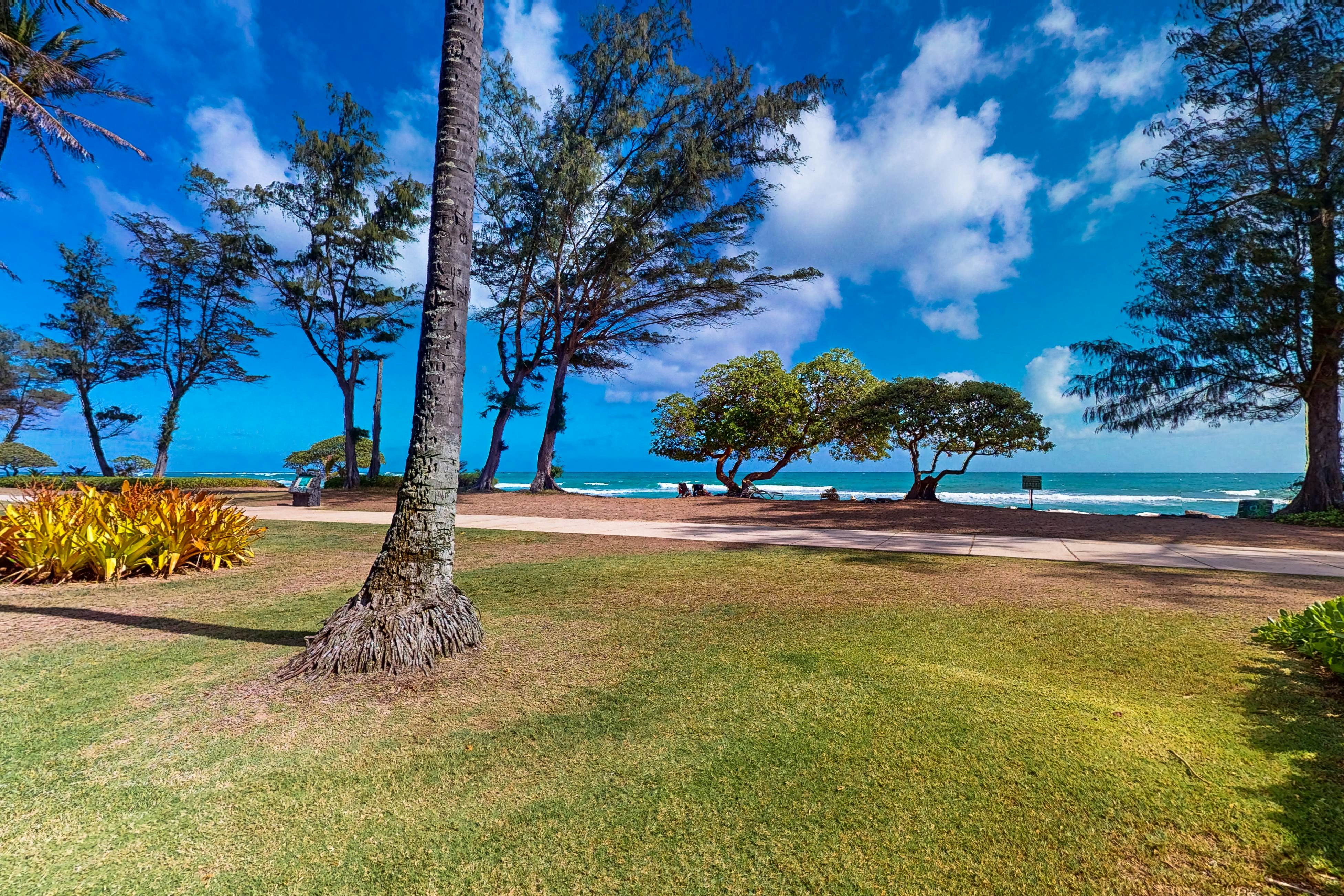 Islander on the Beach 164