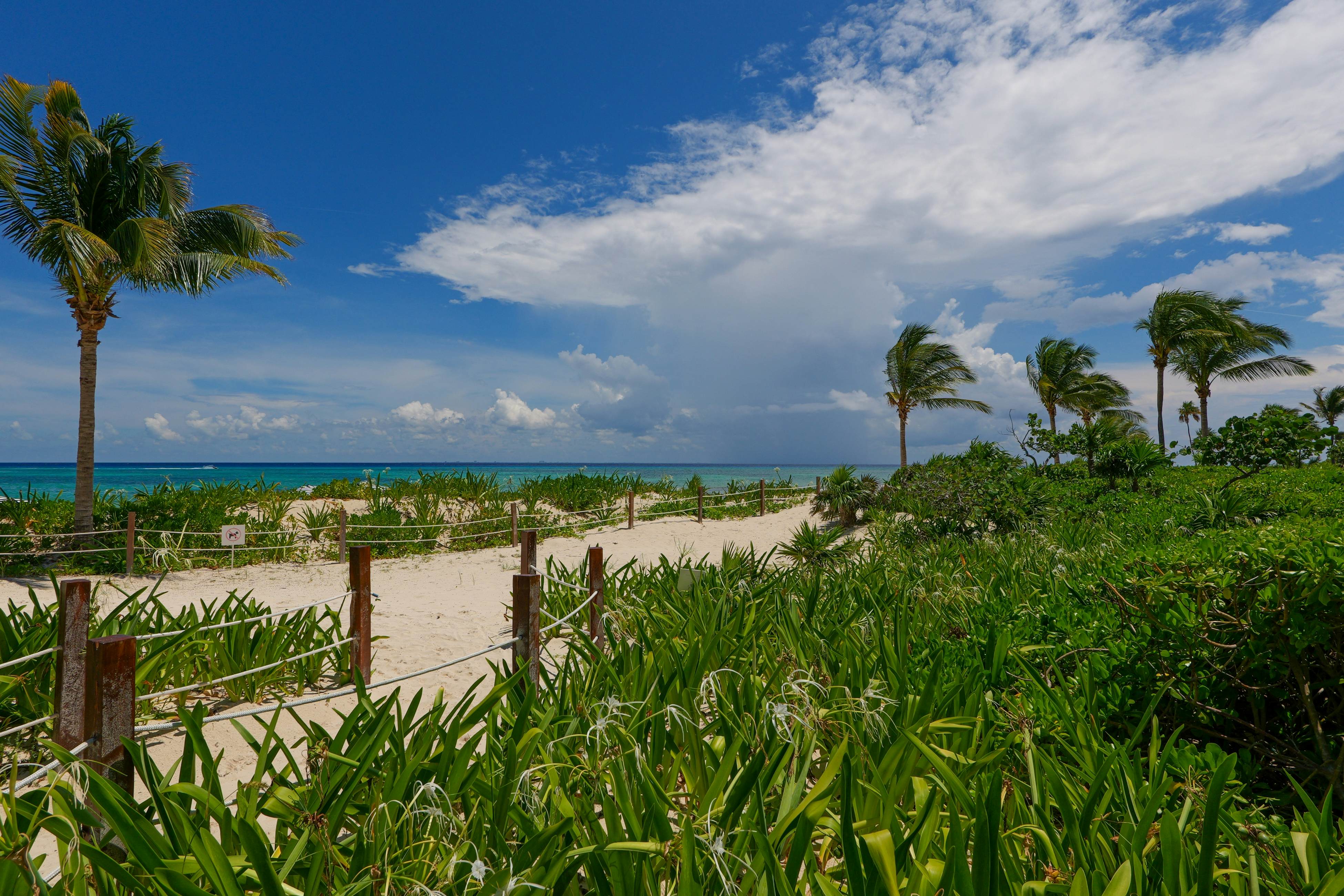 Seaside Serenity Retreat at Mareazul Norte