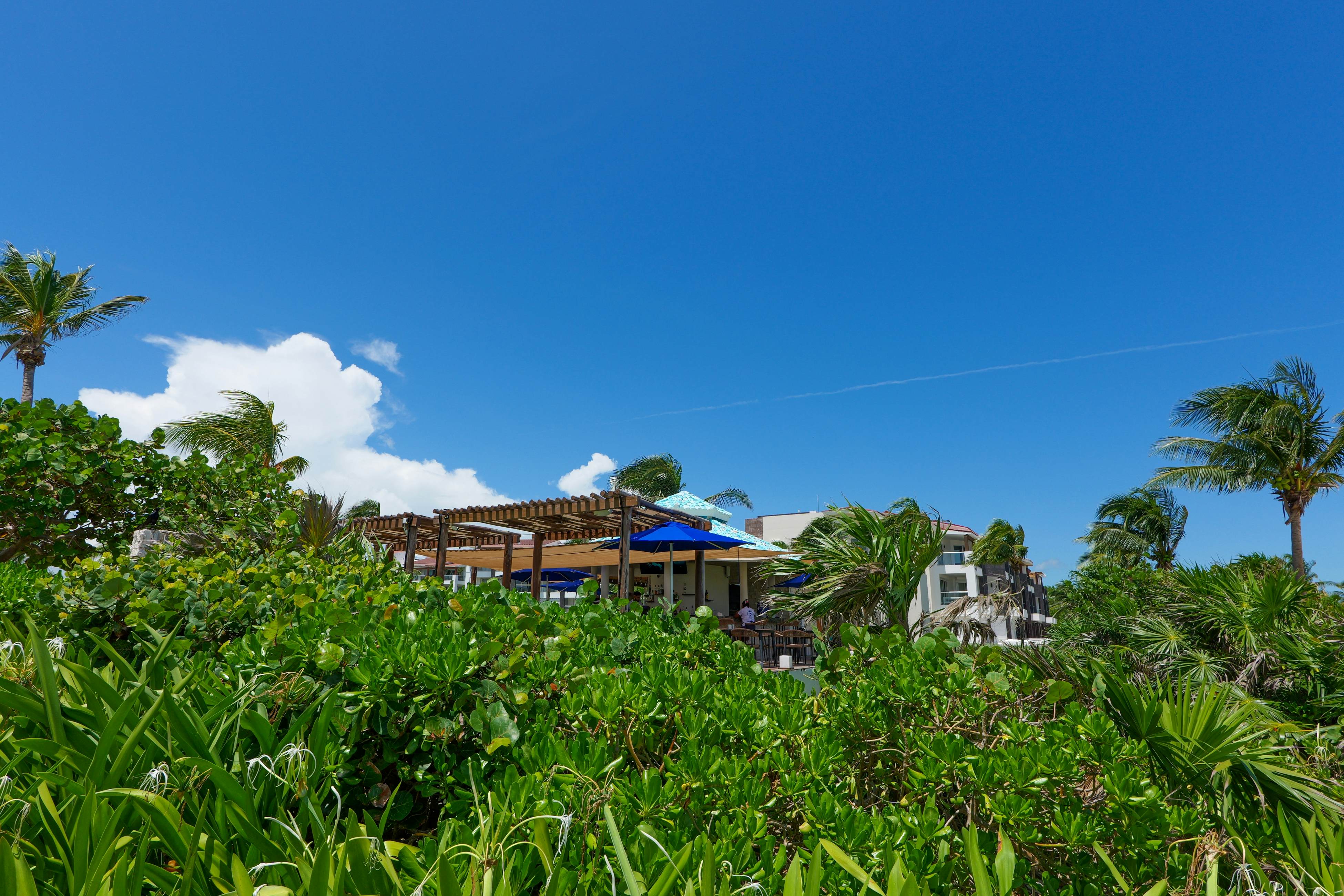 Seaside Serenity Retreat at Mareazul Norte