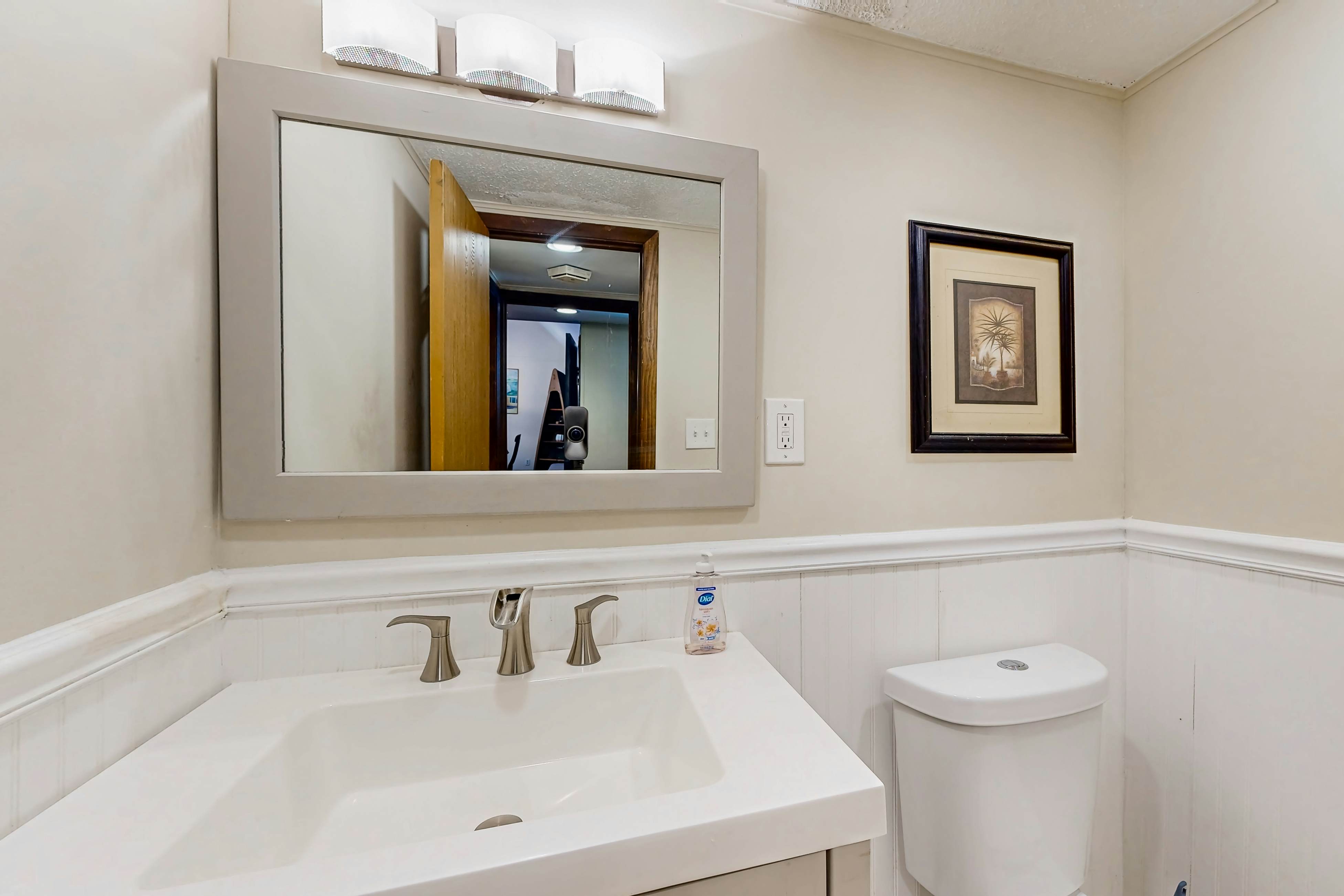 Battersea on the Canal