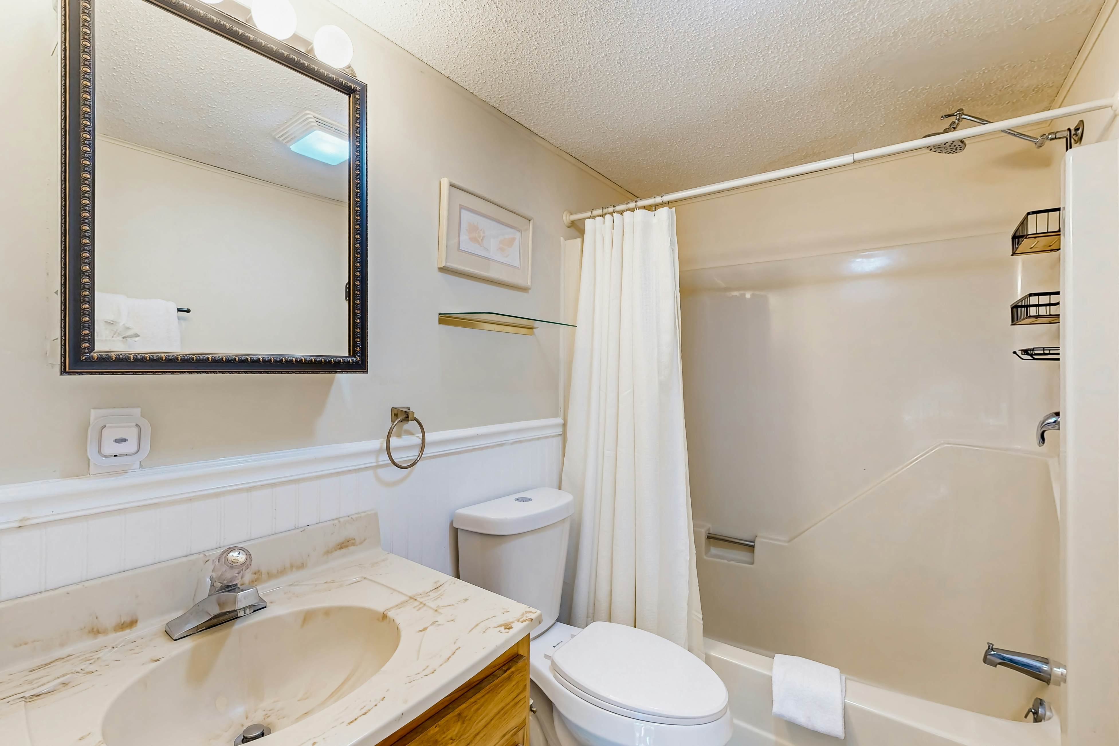 Battersea on the Canal