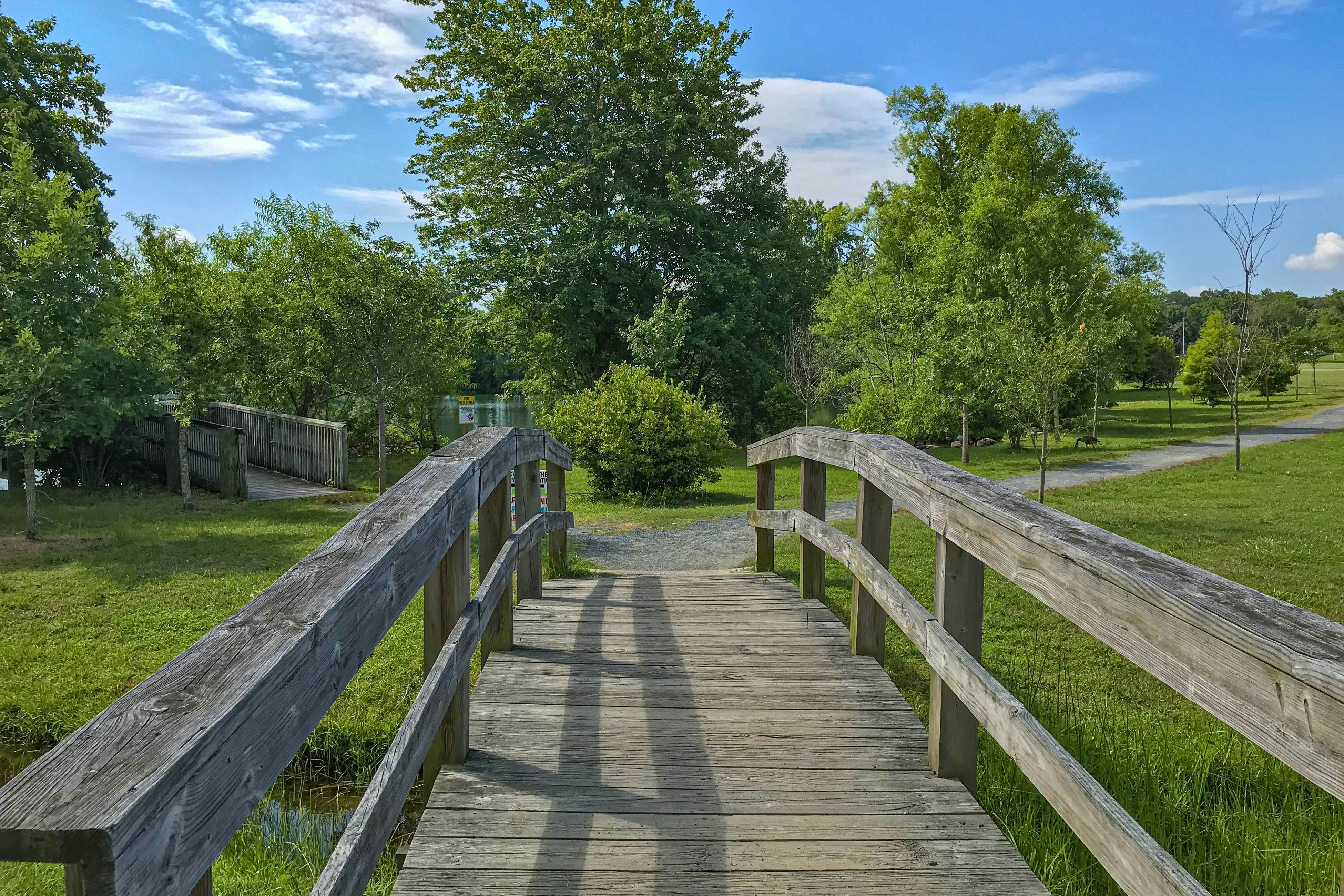 Battersea on the Canal